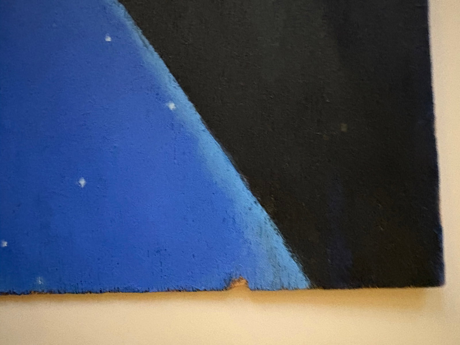 Blackbird Modern Oil Painting - 6