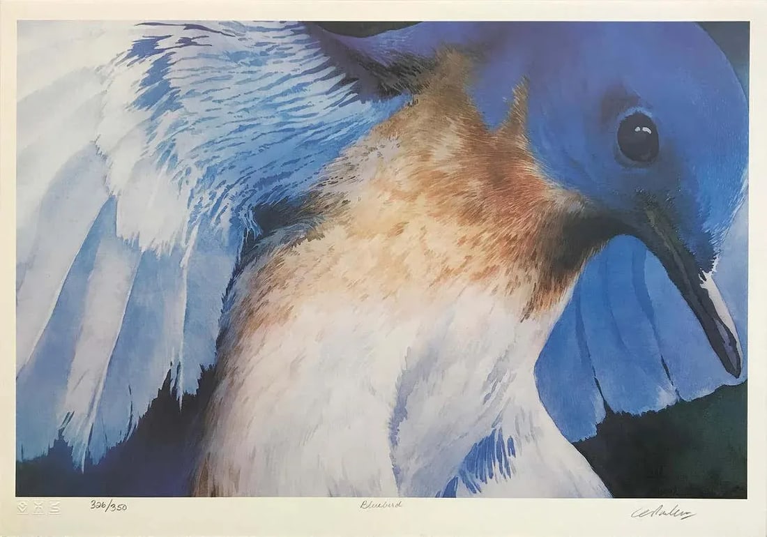 "Blue Bird" Contemporary Wilflife Numbered Lithograph by Carl Arlen - 2