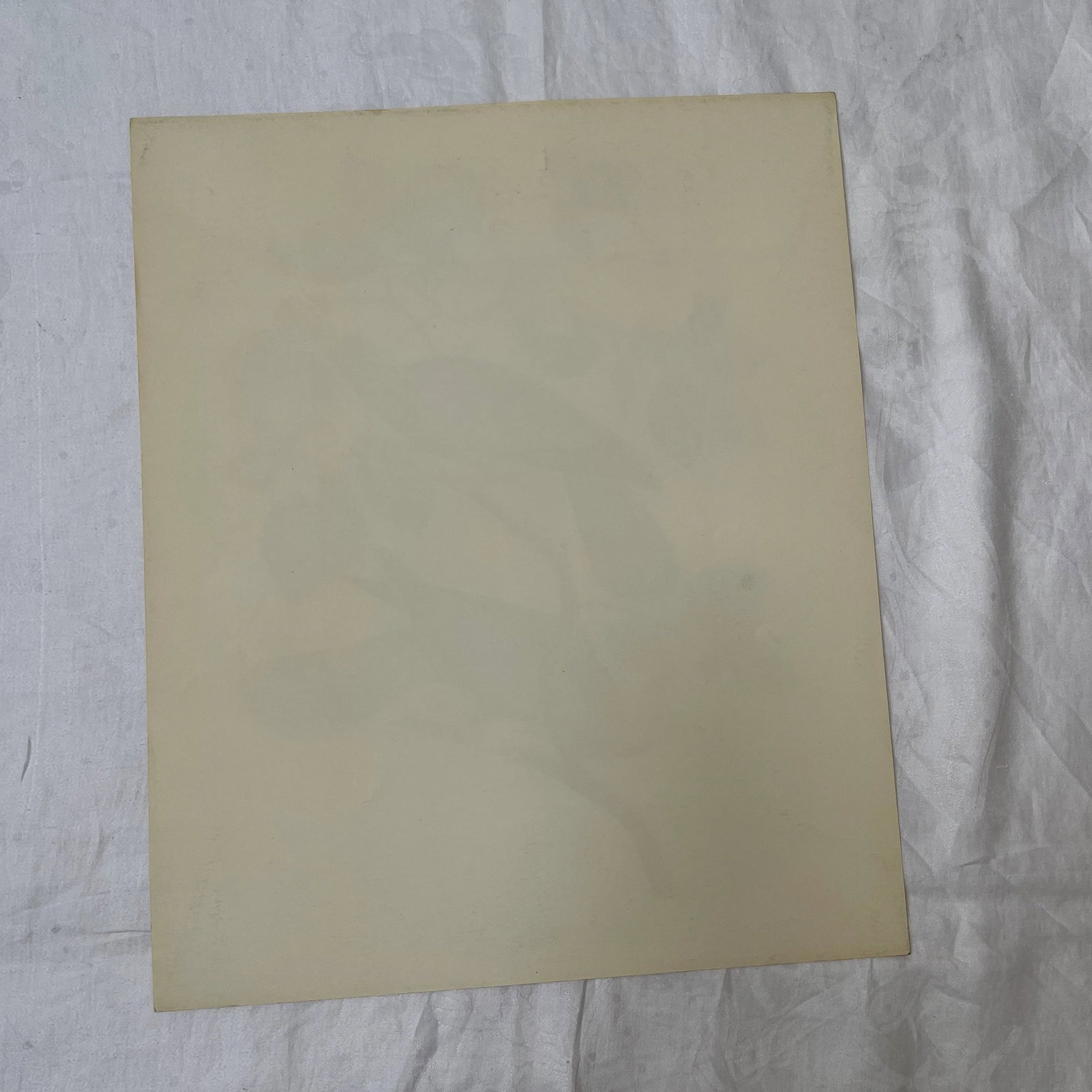 1964 Band-Tailed Pigeon Reproduction Print After Audubon - 11