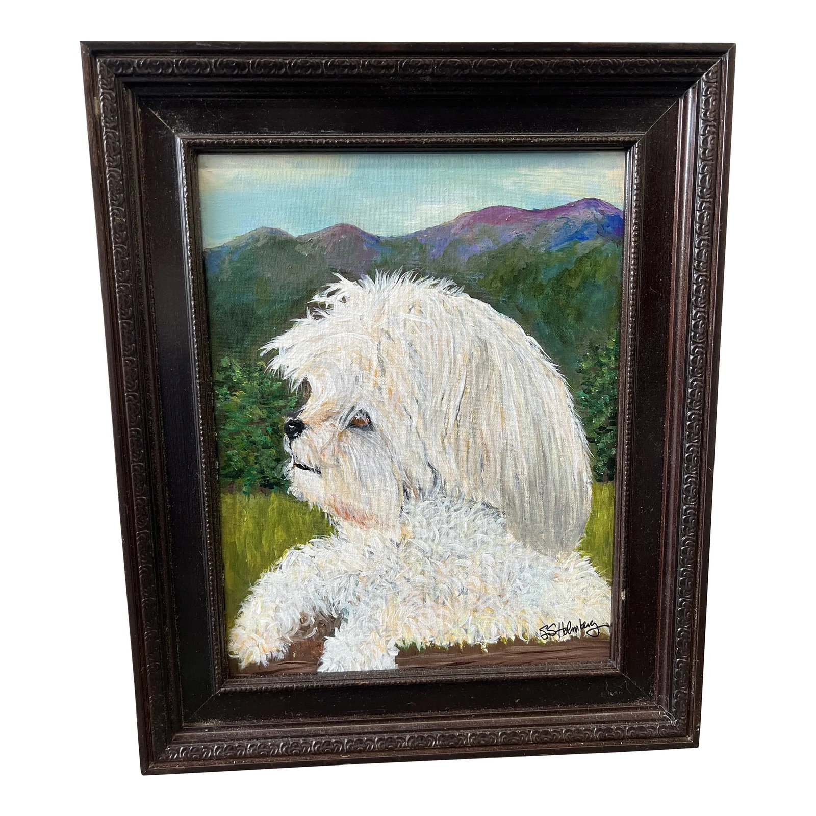 Maltese Portrait by Sally Holmberg: Sally Holmberg is well known for her animal portraits especially her portraits of horses. Here we have a very cute Maltese which looks like he/she could be peering over a fence watching her owner