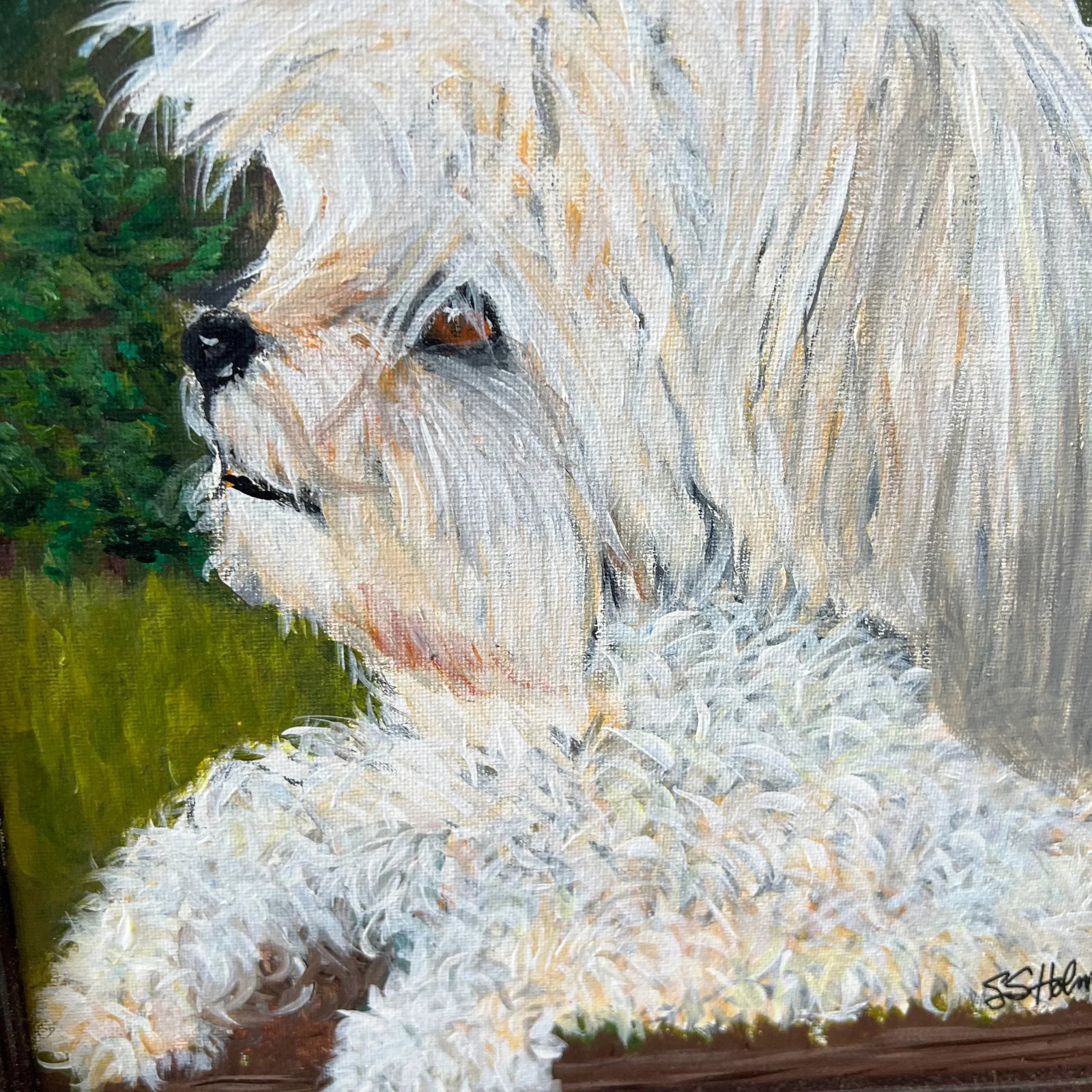 Maltese Portrait by Sally Holmberg - 5
