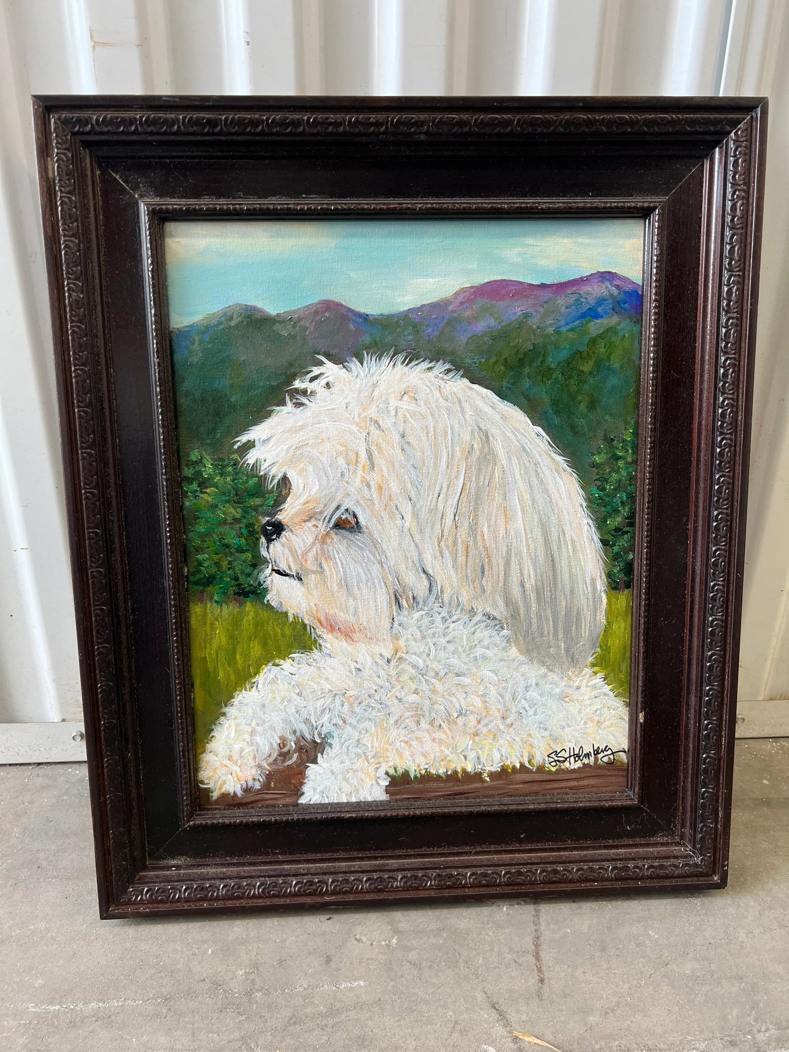 Maltese Portrait by Sally Holmberg - 8