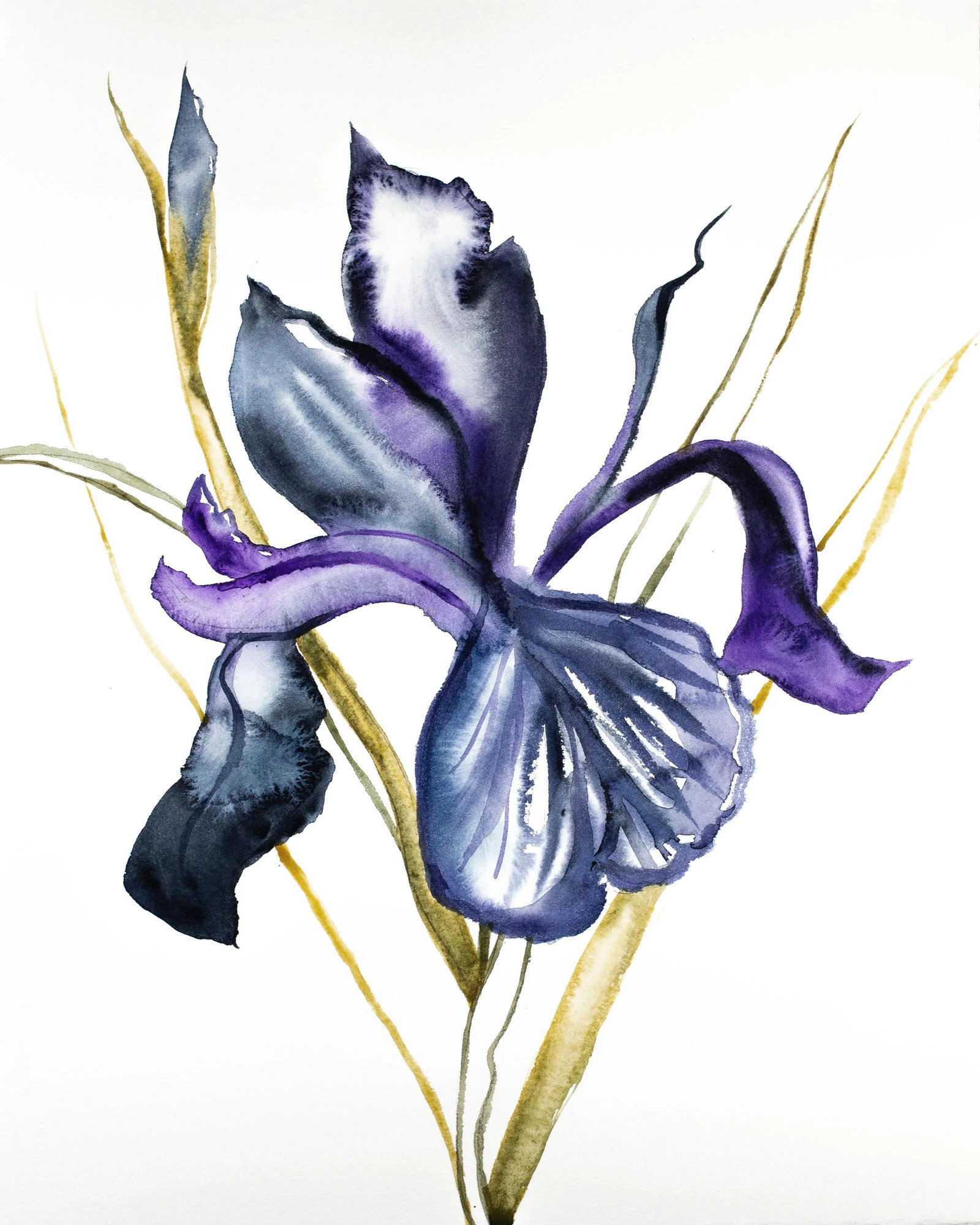 "Iris No. 101" Contemporary Original Expressionist Watercolor Painting by Elizabeth Becker: Original watercolor painting on 140 lb cold press paper Artist: Elizabeth Becker Year: 2019 Image and Paper Size: 16" x 20" Signed on front Condition: Imperfections: No Imperfections Origin: United