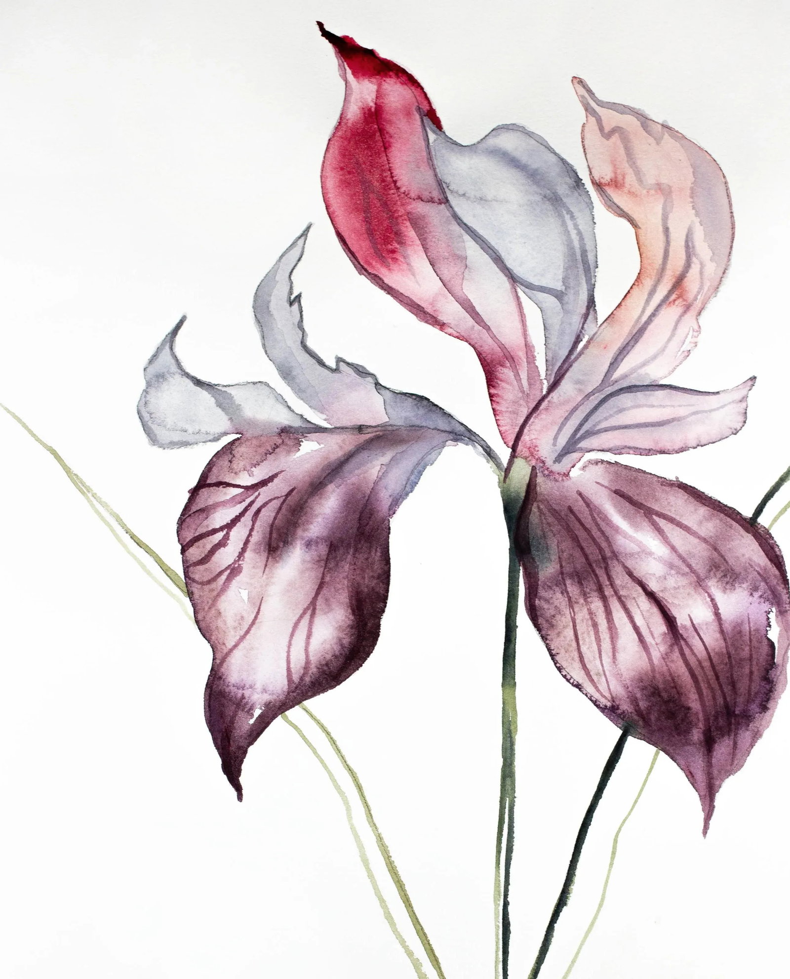 "Iris No. 102" Contemporary Original Watercolor Painting by Elizabeth Becker - 2