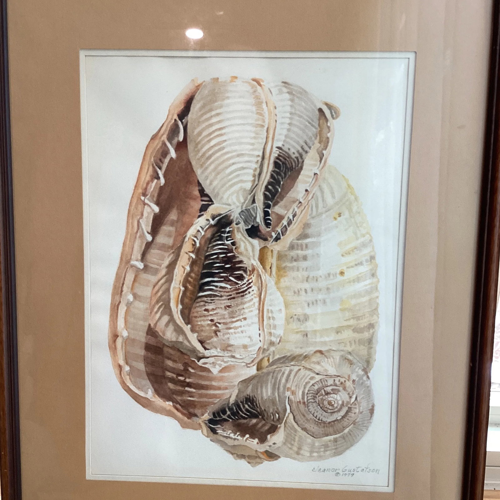 Circa 1979 Eleanor Gustafson Original Watercolor Painting Still Life of Sea Shells - 10