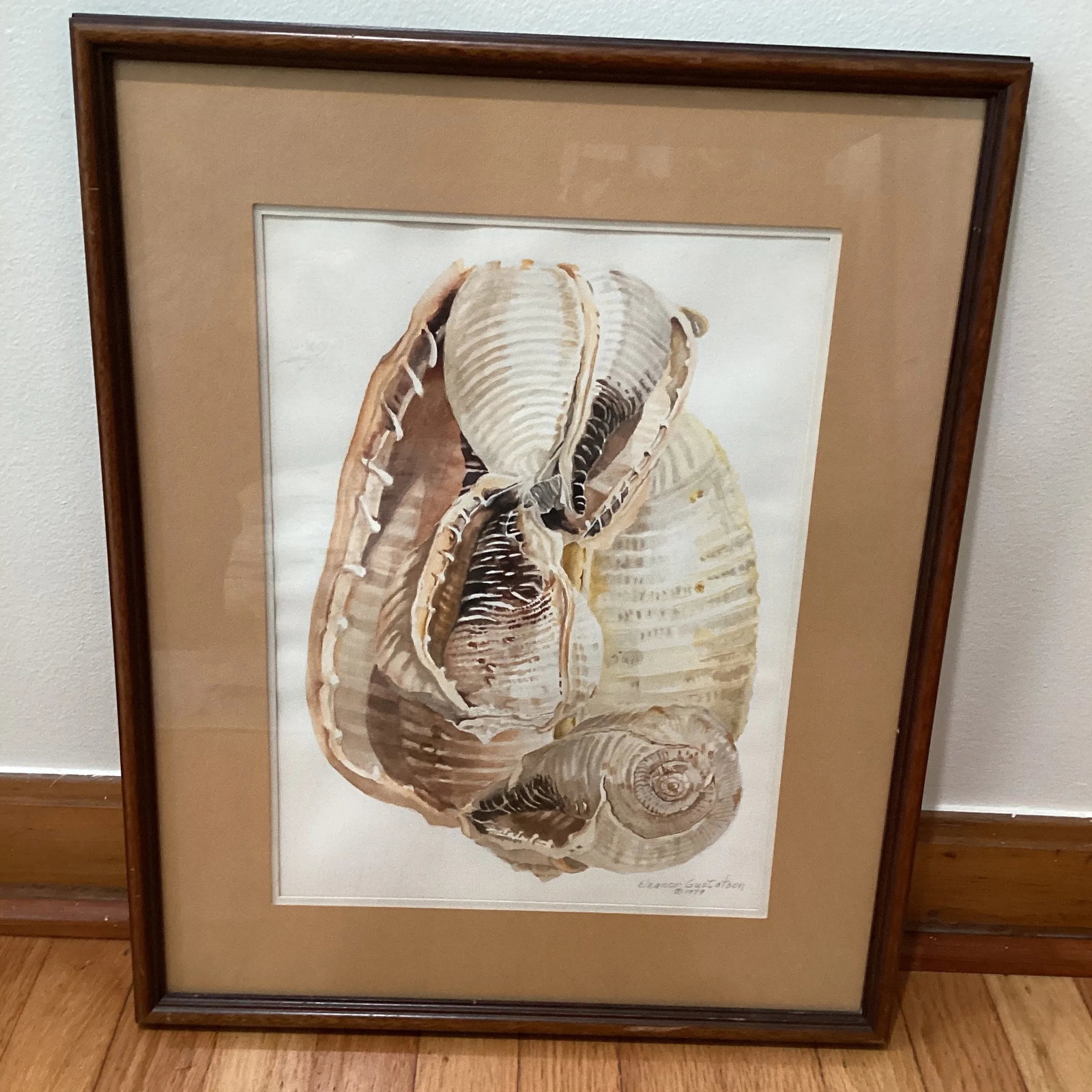 Circa 1979 Eleanor Gustafson Original Watercolor Painting Still Life of Sea Shells - 13
