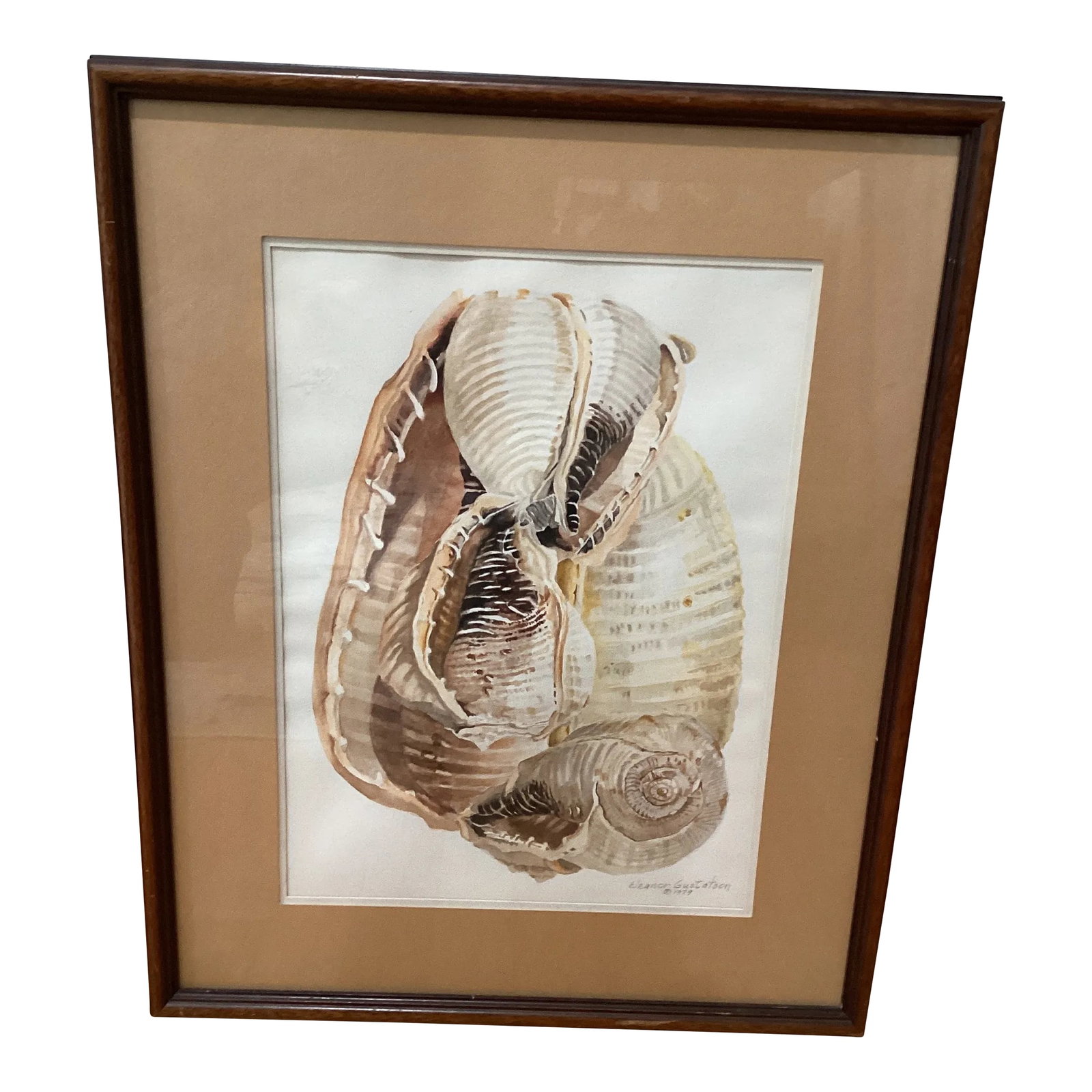 Circa 1979 Eleanor Gustafson Original Watercolor Painting Still Life of Sea Shells: Eleanor Gustafson (American , 1920 - 2000) ,was a well known Ohio artist , her work has been exhibited in the Toledo Museum of Art. Condition: Alterations: Original Condition Unaltered Imperfections: