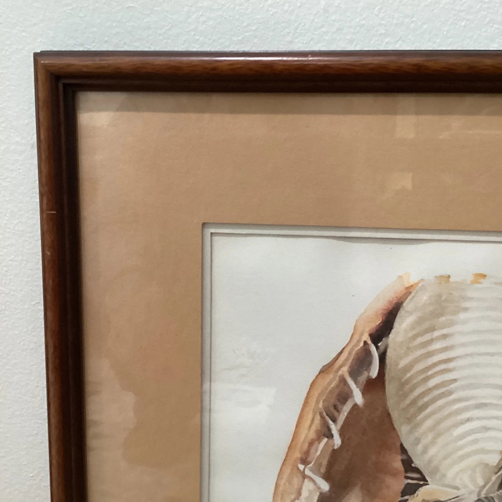 Circa 1979 Eleanor Gustafson Original Watercolor Painting Still Life of Sea Shells - 2