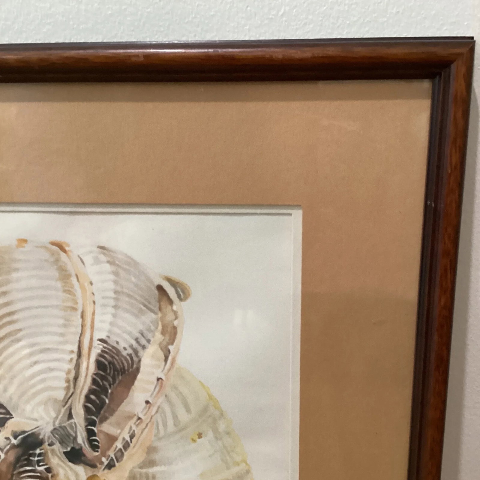 Circa 1979 Eleanor Gustafson Original Watercolor Painting Still Life of Sea Shells - 3