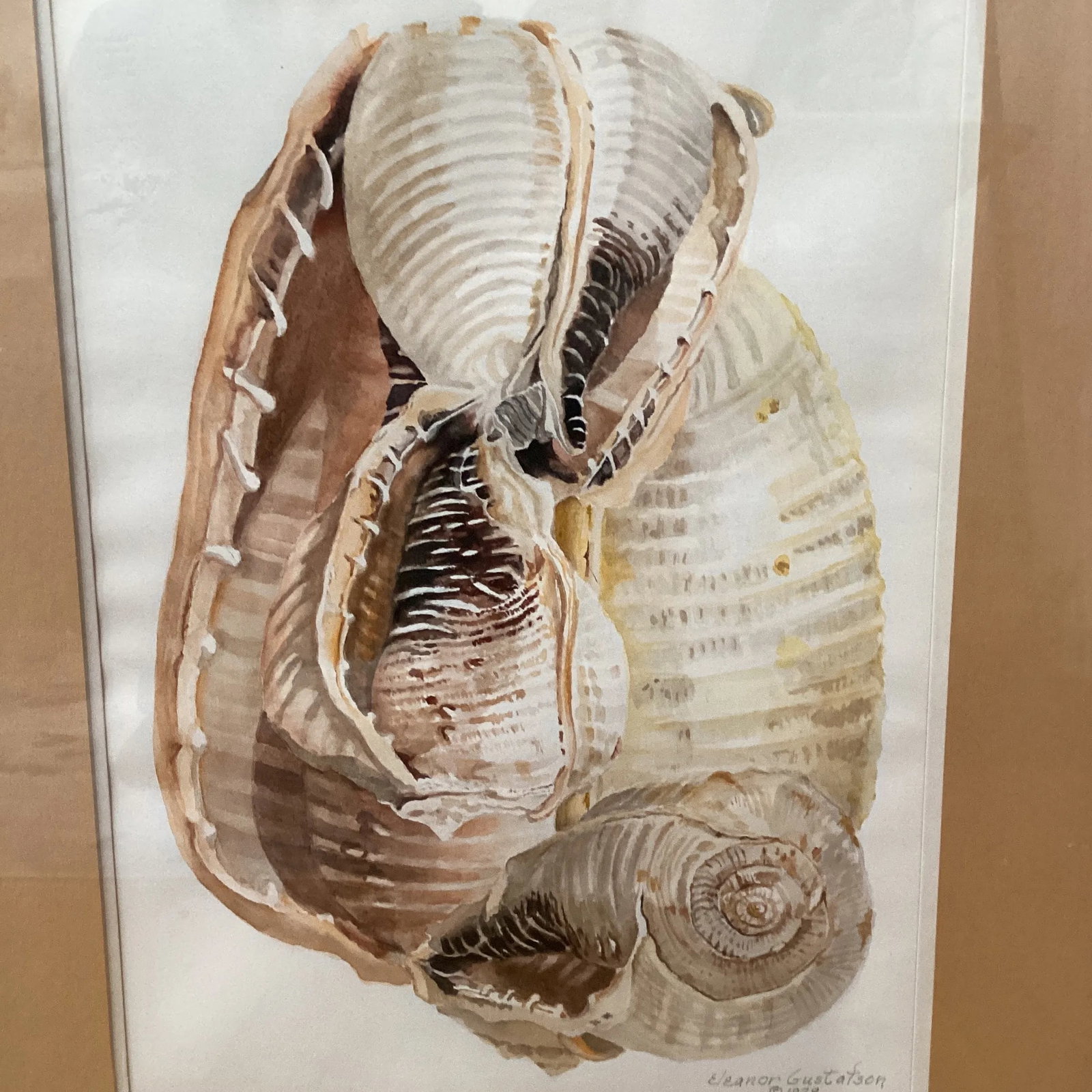 Circa 1979 Eleanor Gustafson Original Watercolor Painting Still Life of Sea Shells - 6