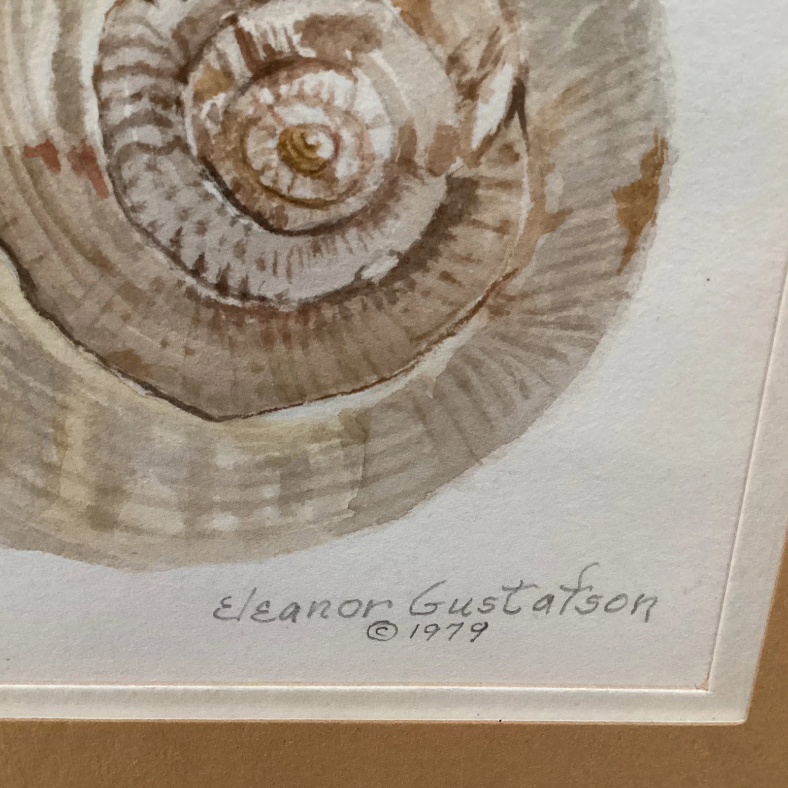 Circa 1979 Eleanor Gustafson Original Watercolor Painting Still Life of Sea Shells - 7