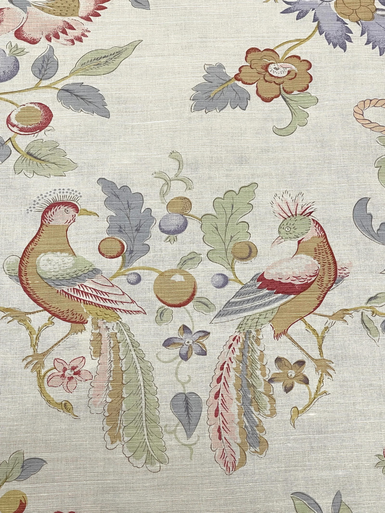Bennison Fabrics "Bird and Basket" Bright on Oyster - 2