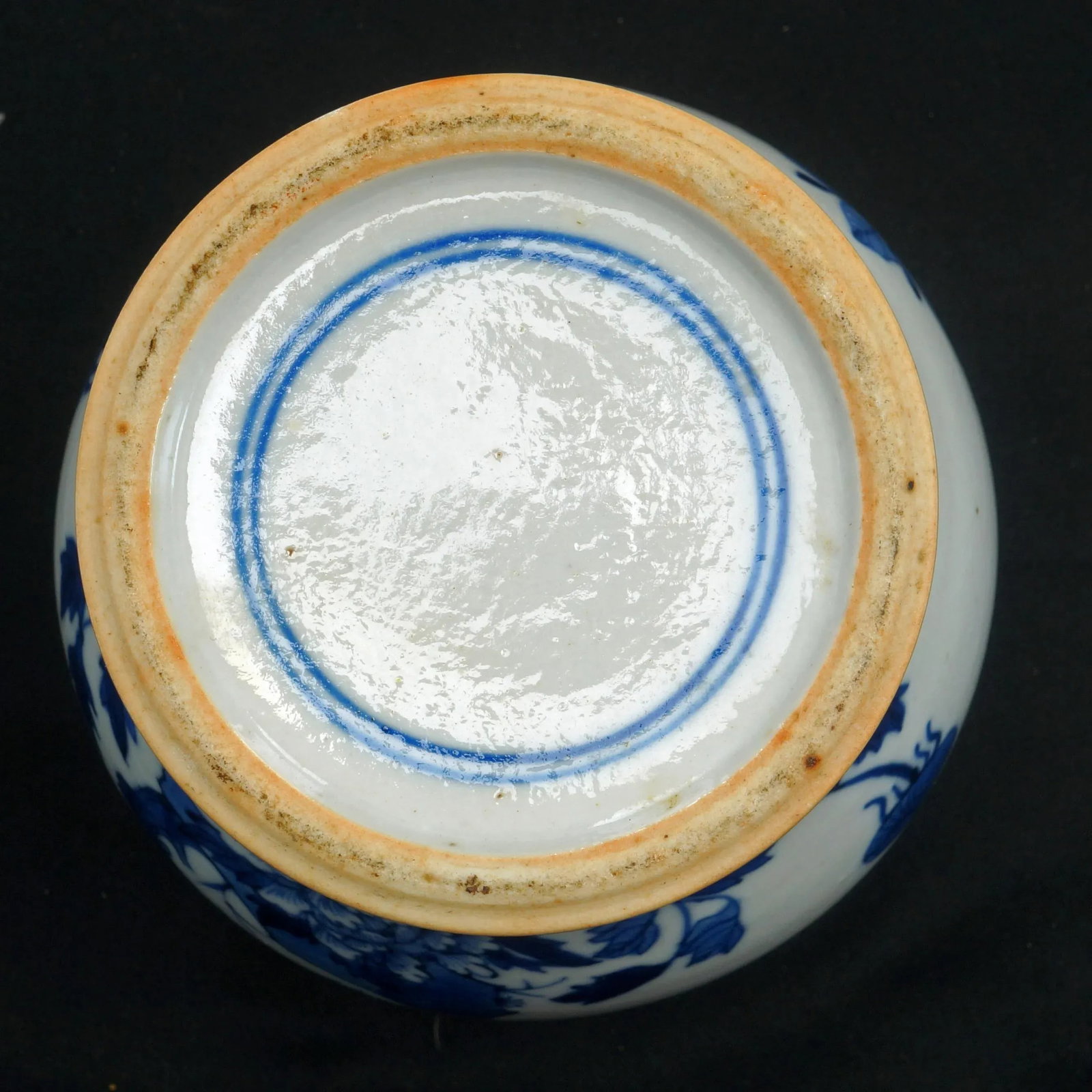 Chinese Ginger Jar Bird Motif 19th Century - 10