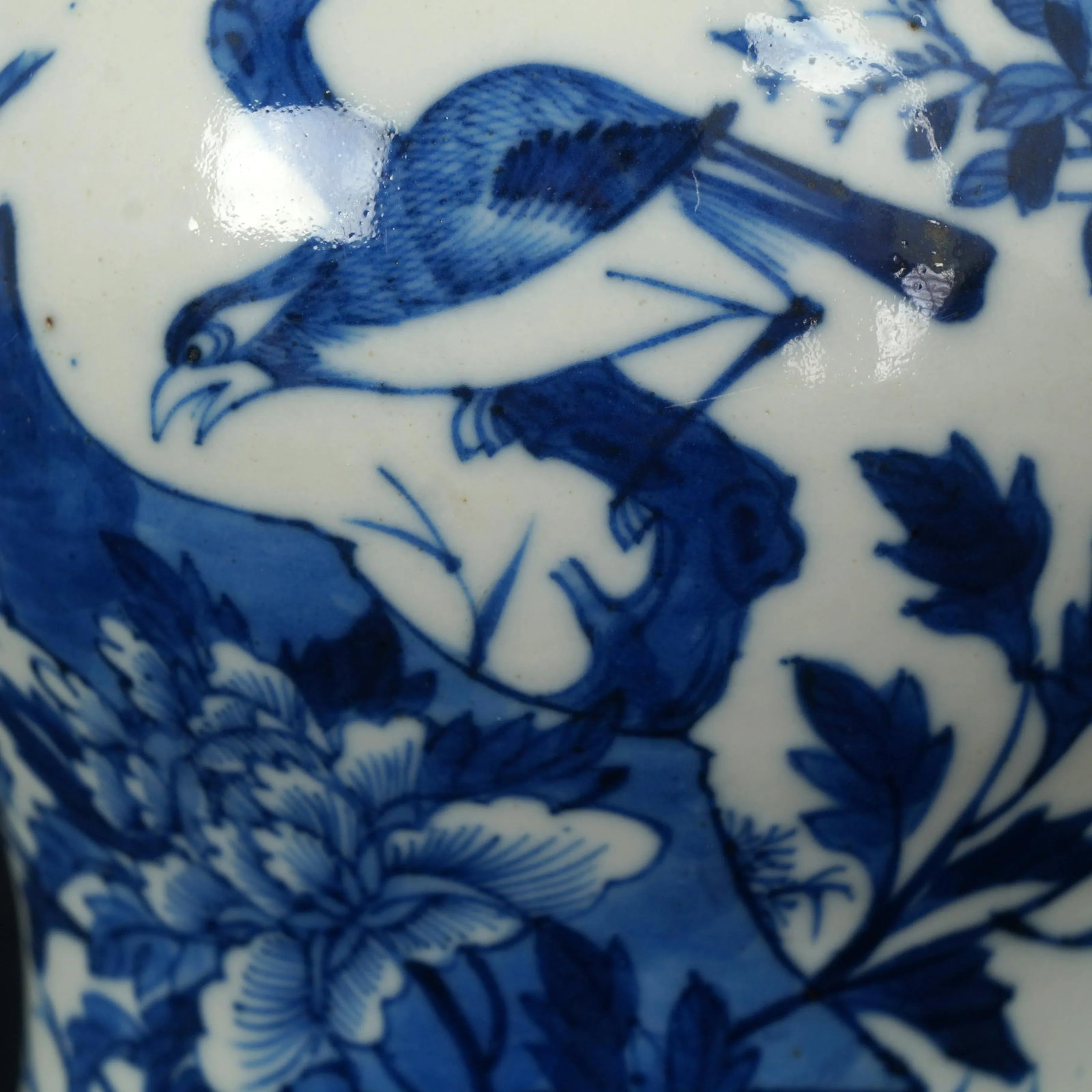 Chinese Ginger Jar Bird Motif 19th Century - 5