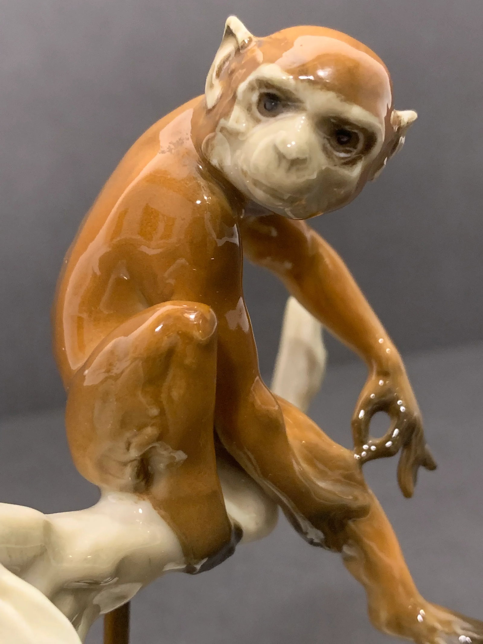 1950s Hutschenreuther Porcelain Monkey Figurine - 3