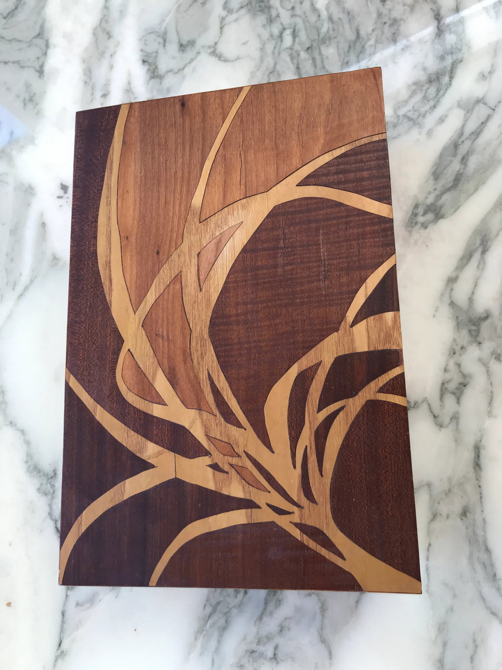 1930s Self-Taught Albert Rosenblatt Intarsia Wooden Box - 4