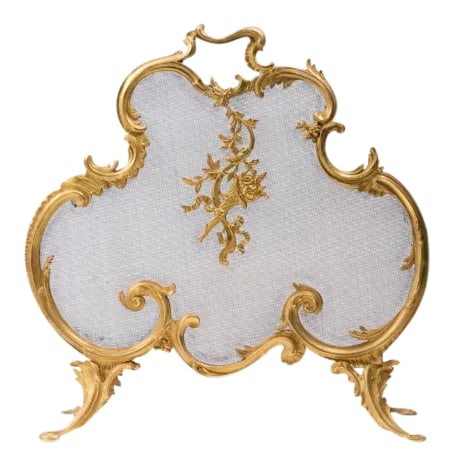 Early 20th Century French Louis XV Fire Screen (1 of 3)