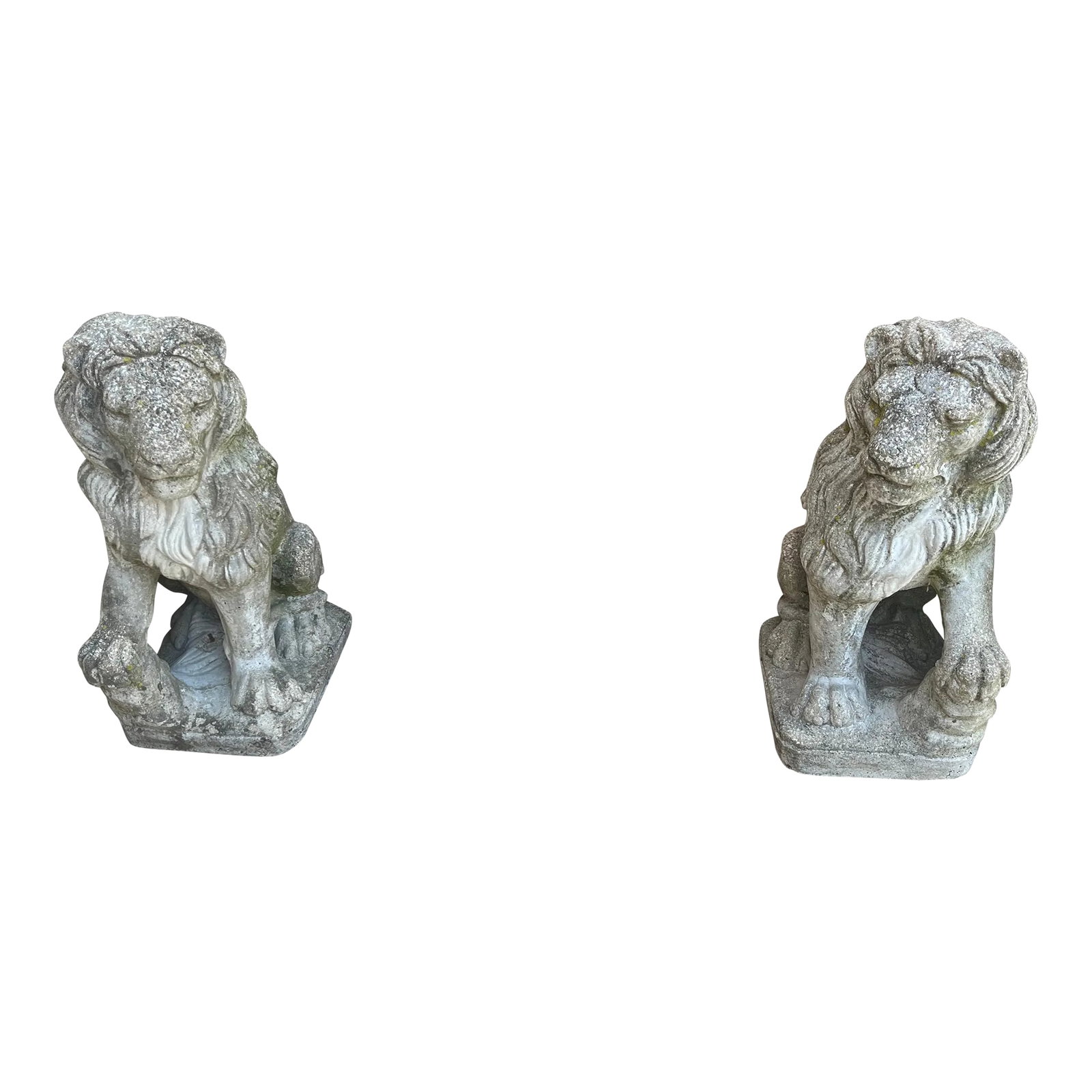 Vintage Cast Stone Lion Statues - Set of 2: Vintage cast stone lions with mirrored gazes. Perfect to flank your entry with welcoming stance. Statues are heavy. Condition: Alterations: Original Condition Unaltered Imperfections: Some