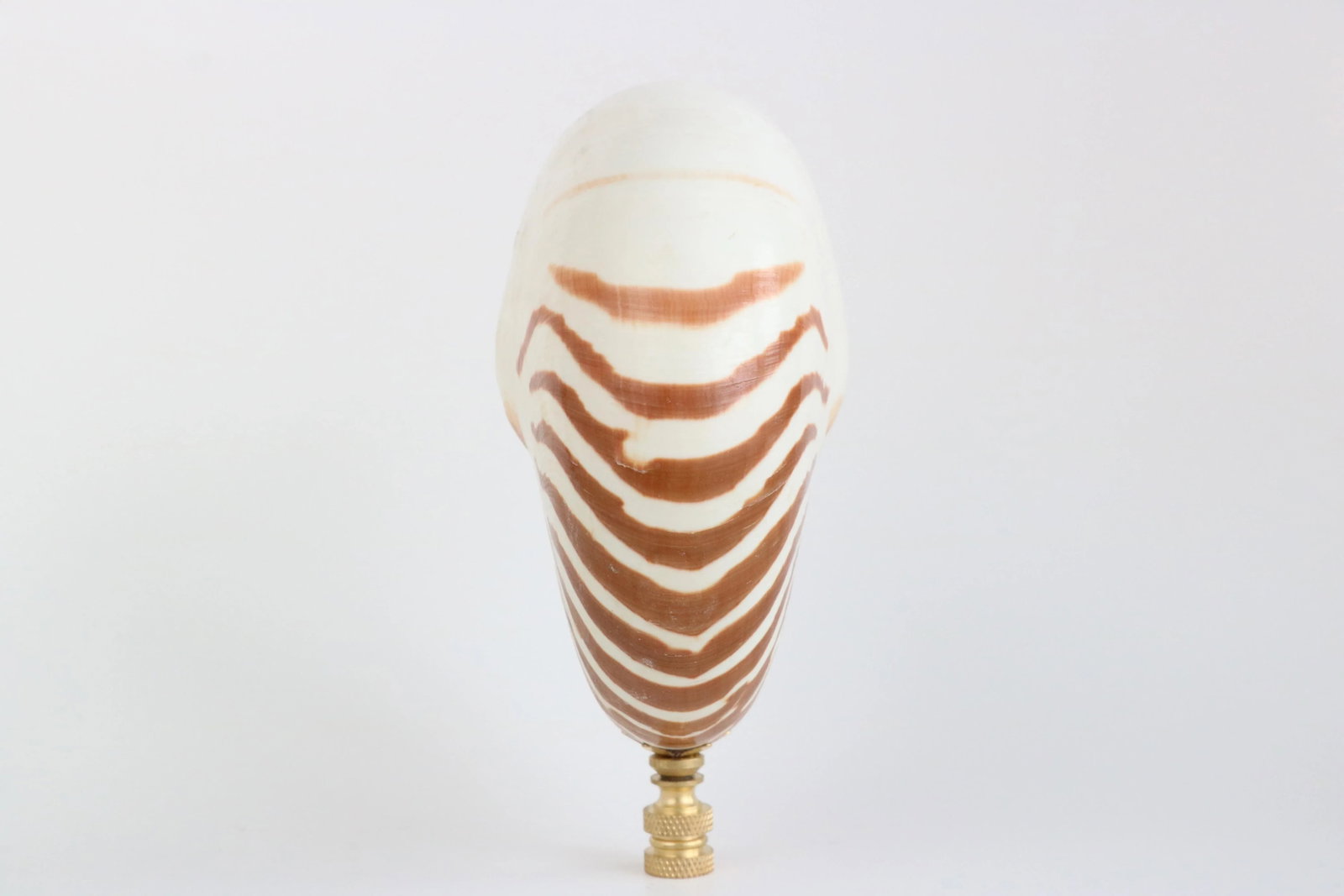 Tiger Seashell Lamp Finial on Brass Hardware - 3