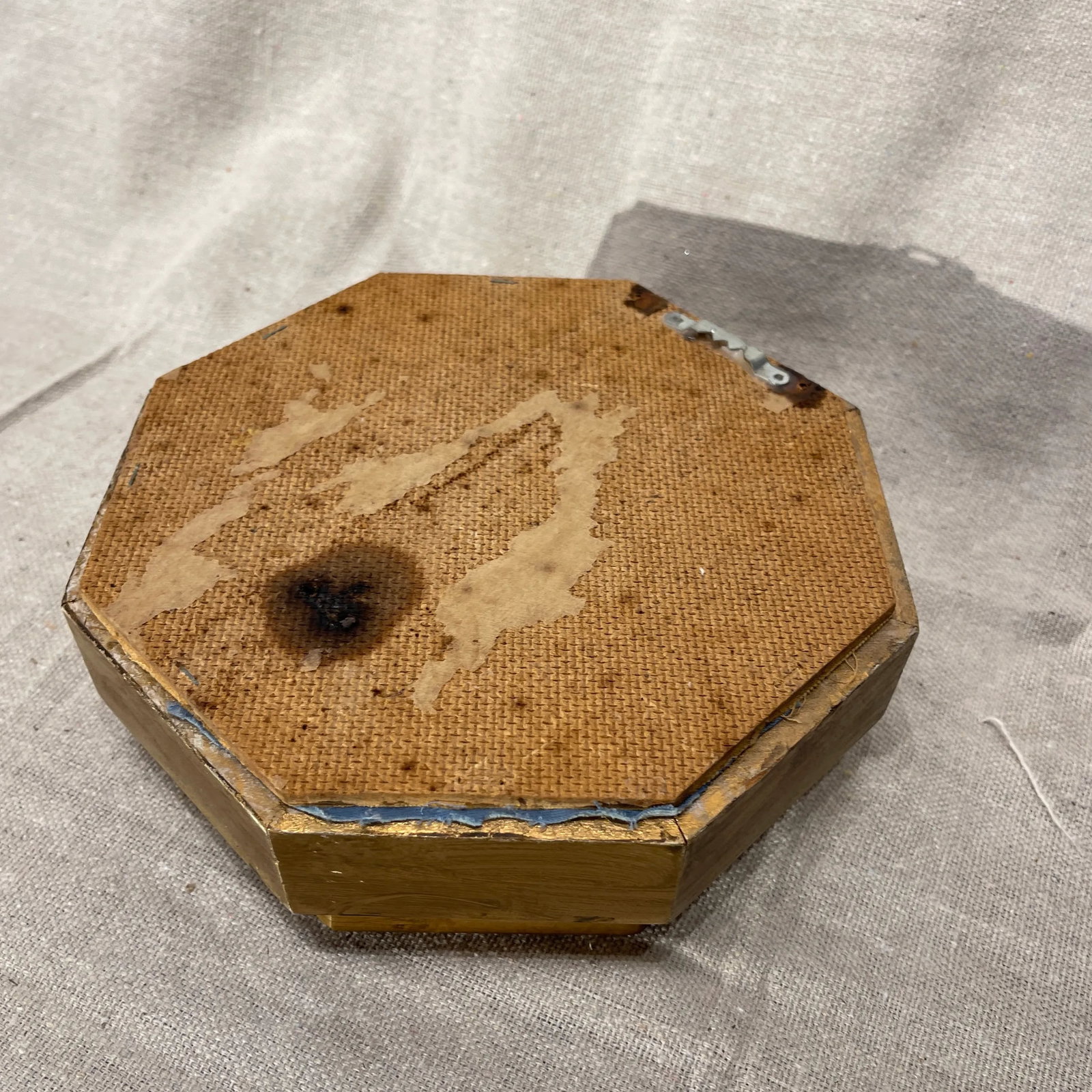19th Century Victorian Sea Shell in Hexagonal Shadowbox Frame - 4