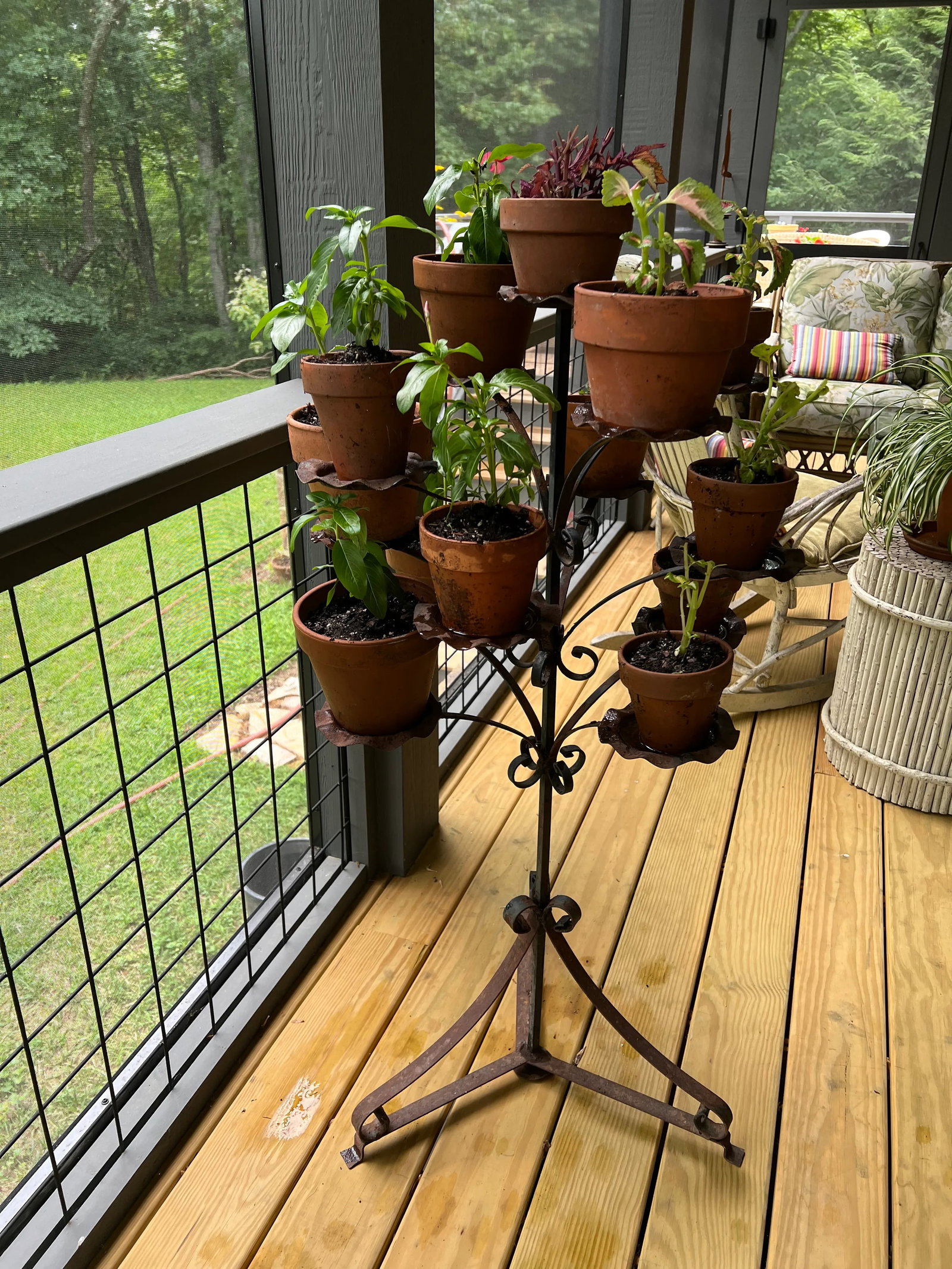 Vintage Wrought Iron Plant Stand - 12