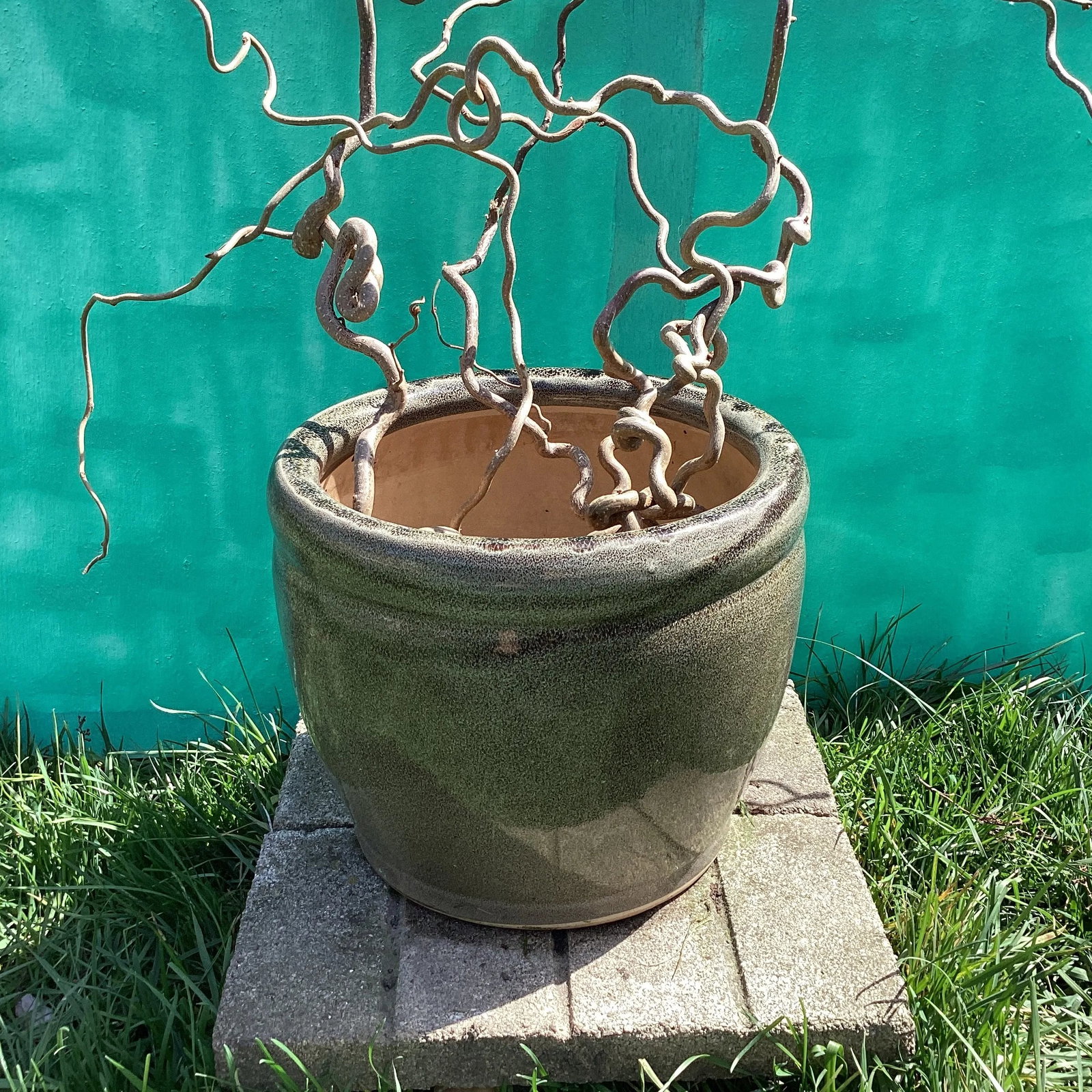 Late 20th Century Large Outdoor/Indoor Glazed Ceramic Planter - 12