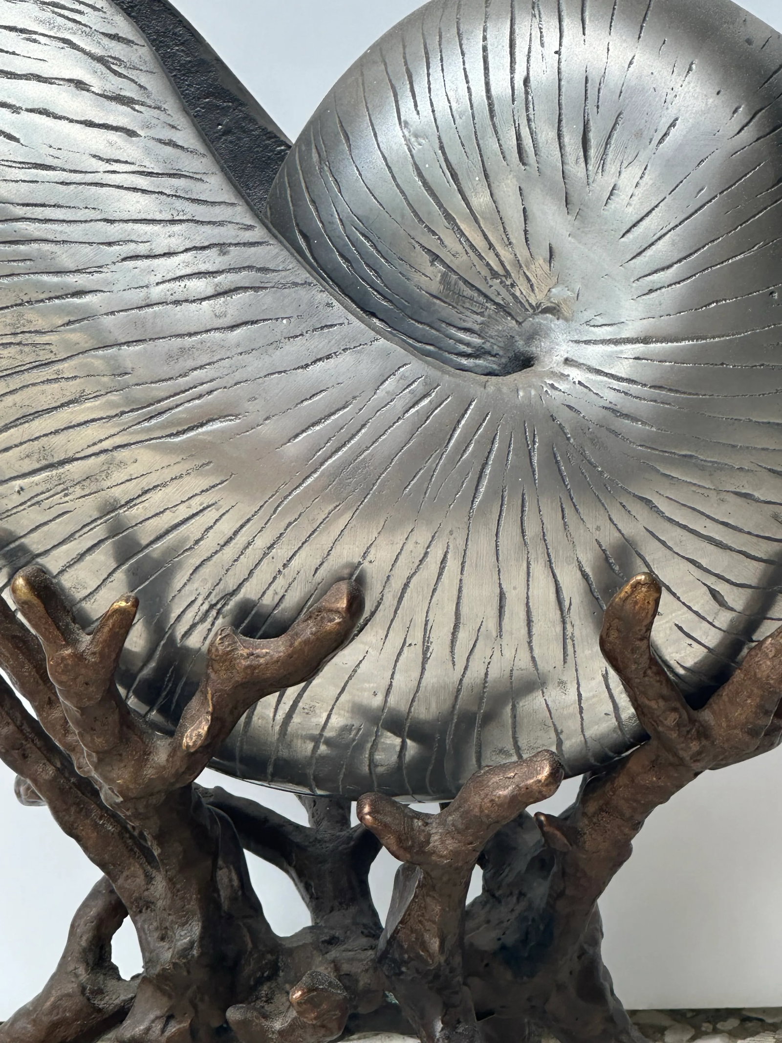 Vintage Silvered Nautilus Shell on Bronze Sea Coral Base - 9