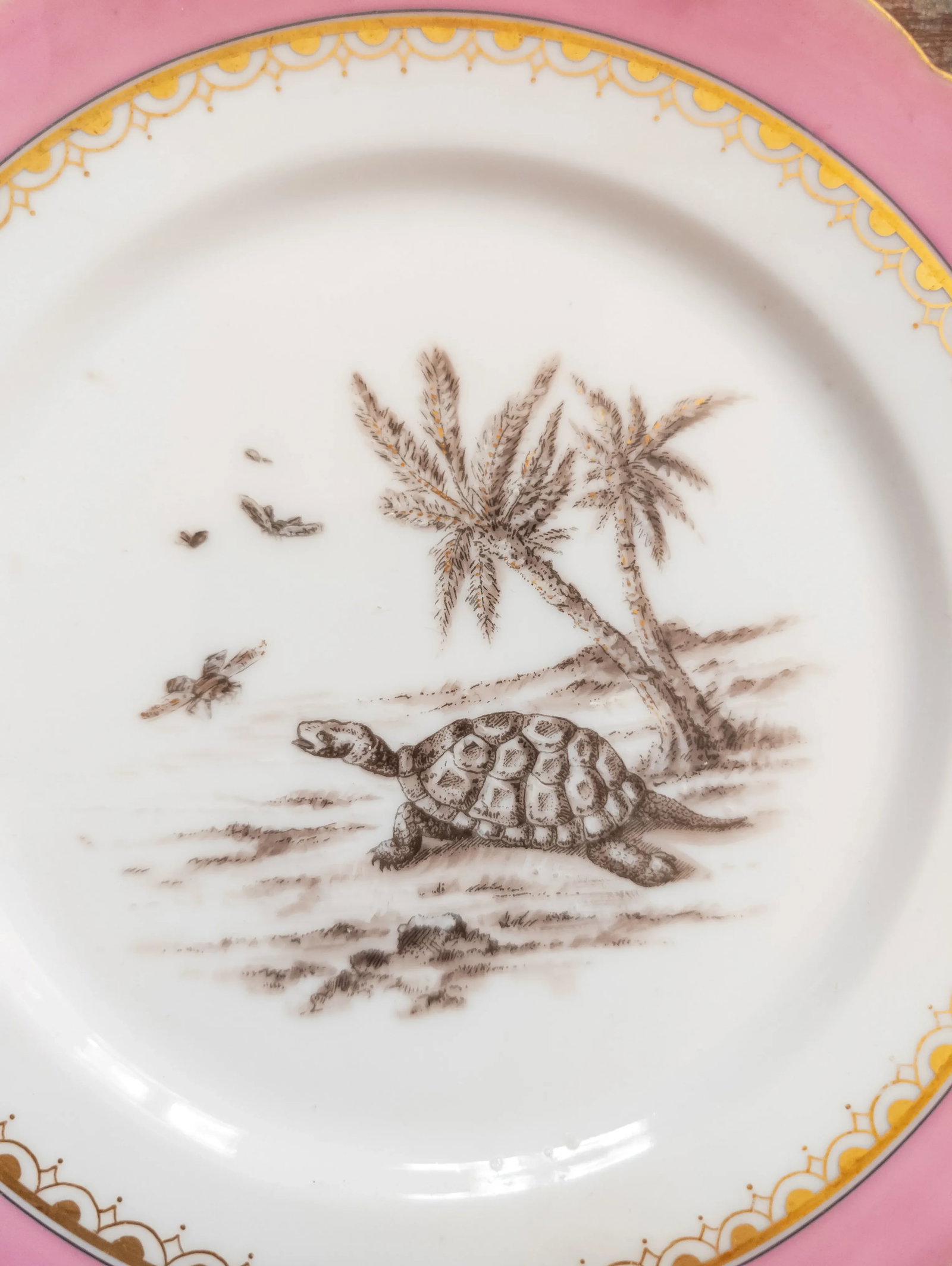 19th Century Pair of Decorative Wall Plates Animals and Pink Rim Attributed to Limoges France - 3