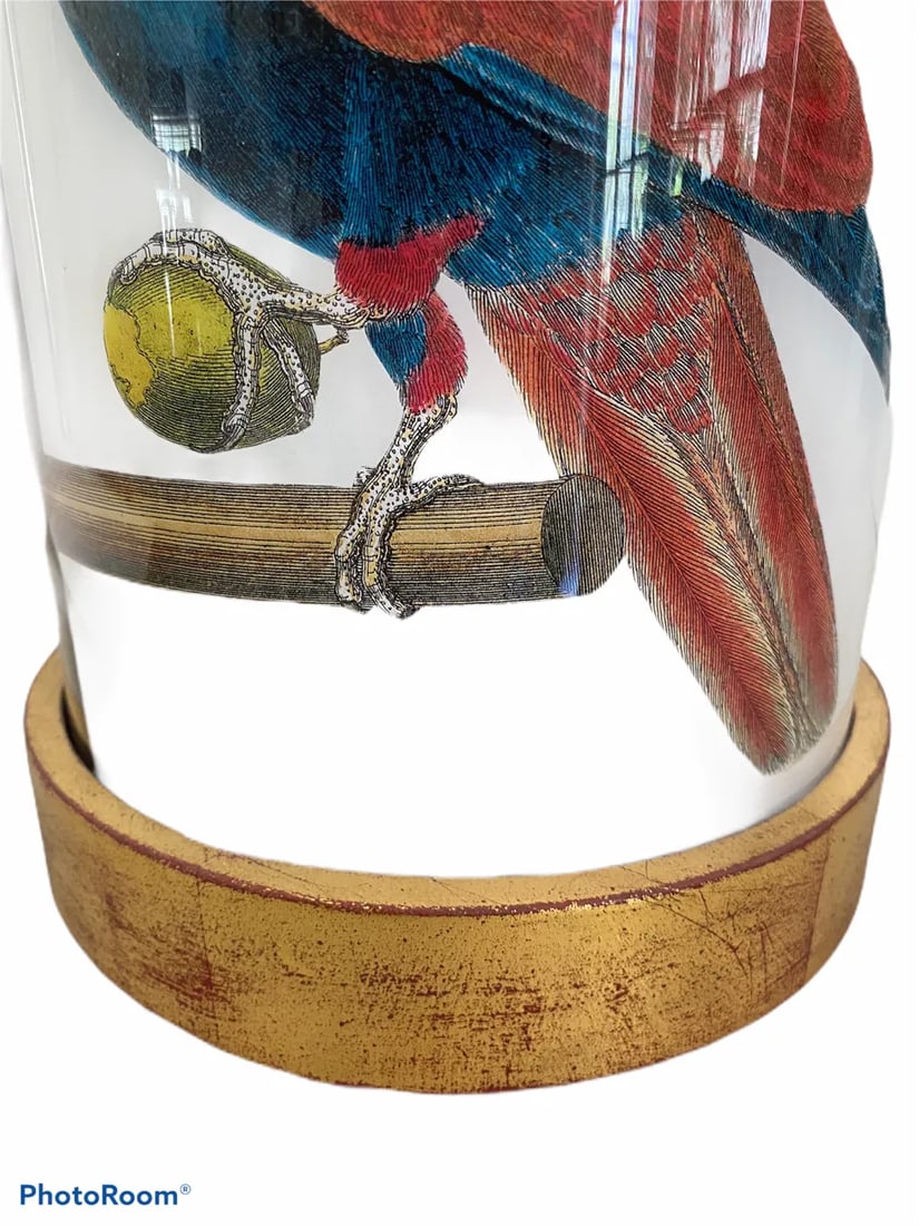 Parrot on Perch Table Lamp - 5