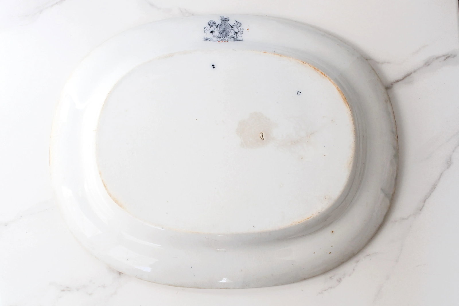 19th C. Staffordshire Ironstone Chinoiserie Platter Birds - 5