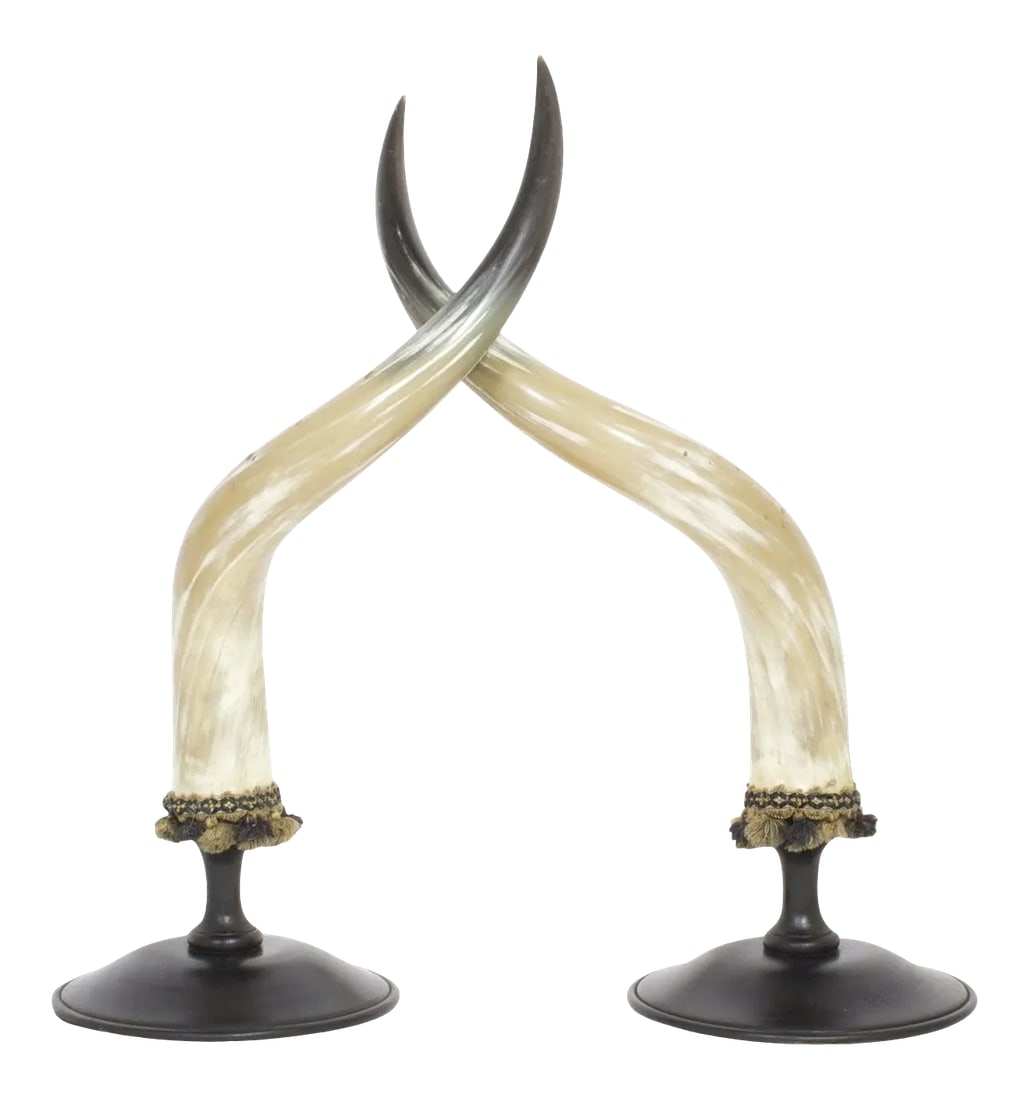 Mid-Century Large and Polished Horns on Mounts - Pair (1 of 9)