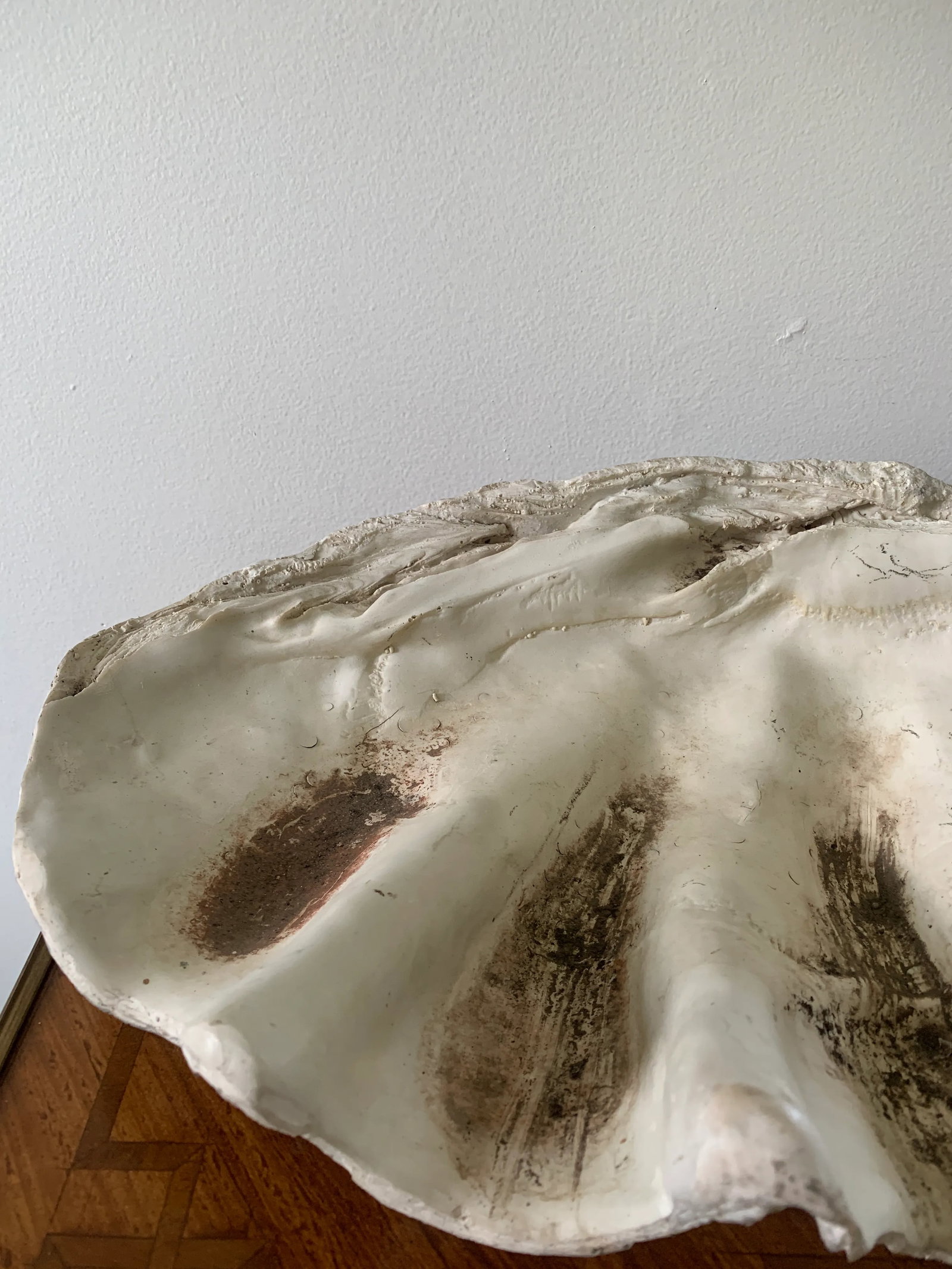 Mid 20th Century Giant Faux Clam Shell - 3