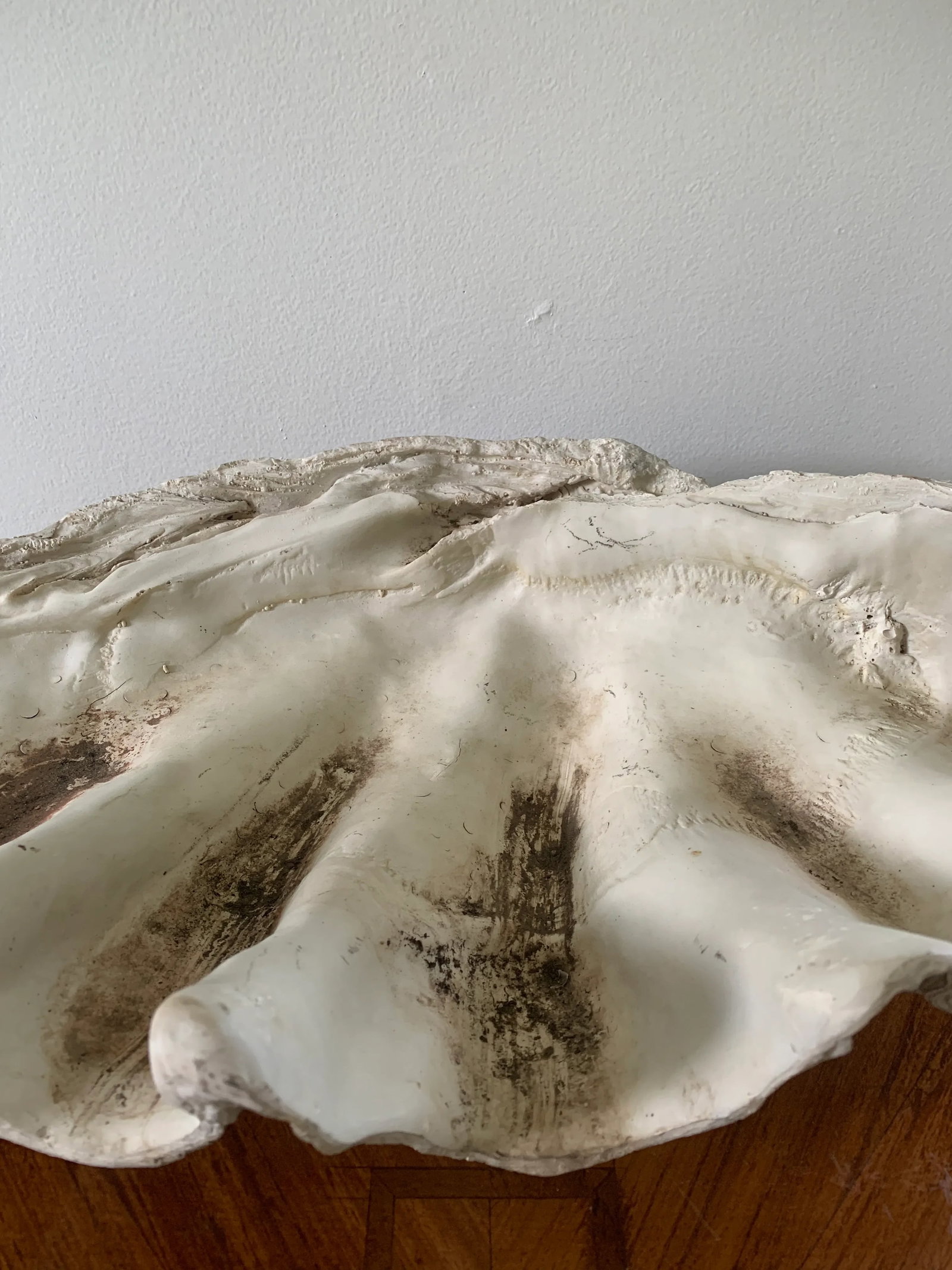 Mid 20th Century Giant Faux Clam Shell - 4