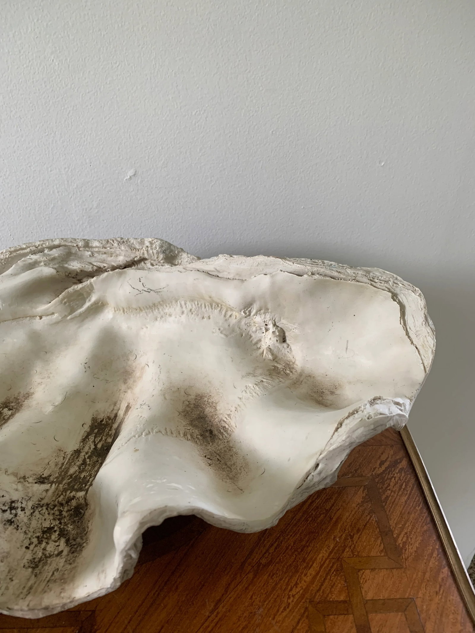 Mid 20th Century Giant Faux Clam Shell - 5