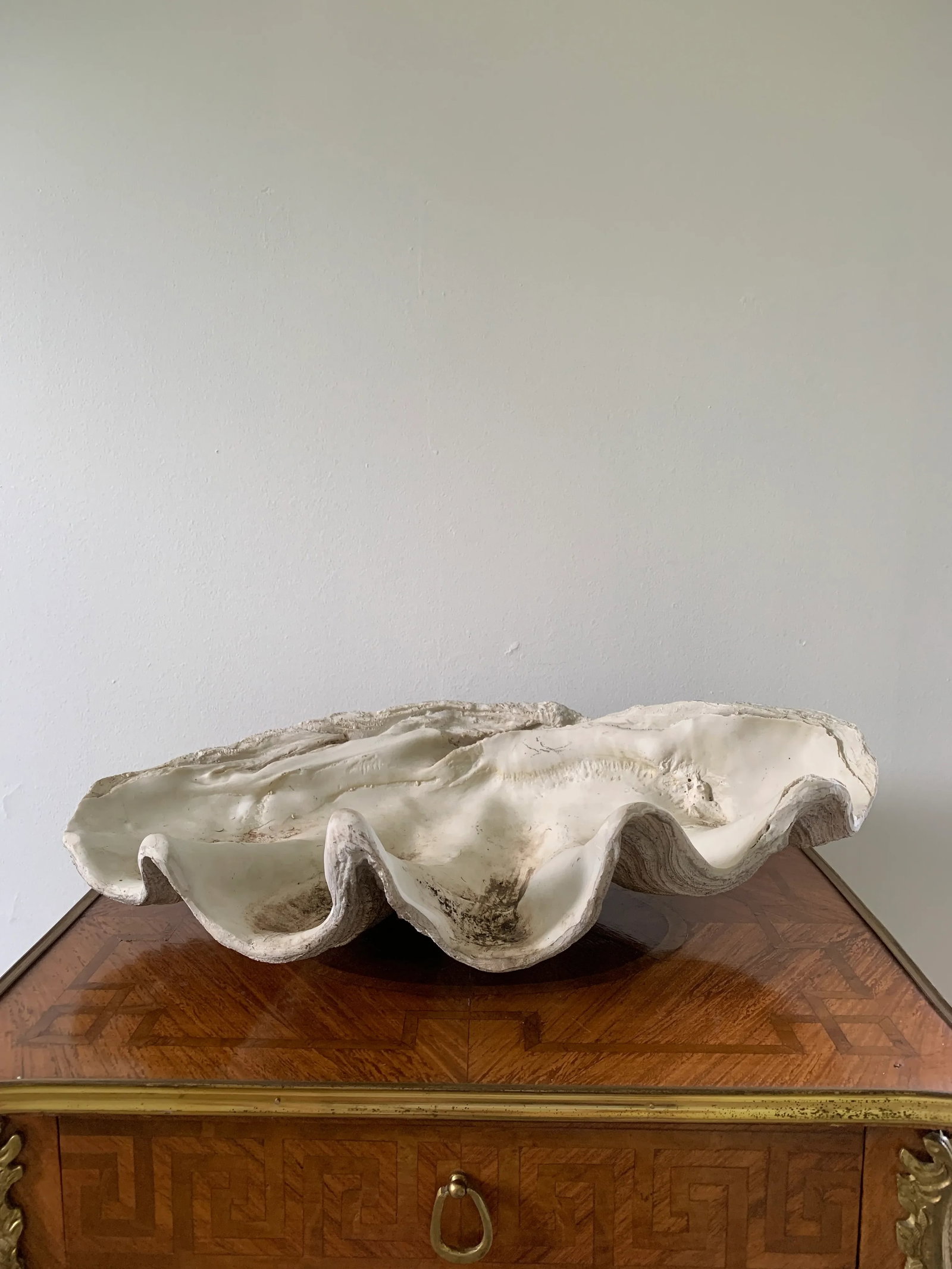 Mid 20th Century Giant Faux Clam Shell - 8
