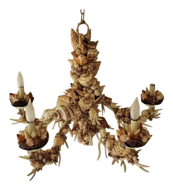 Nautical Natural Sea Shell Chandelier: A circa 1960s Italian five-arms encrusted in seashells make the most magnificent chandelier, some patina, stabile and perfect condition. 12" of chain Condition: Alterations: Original Condition