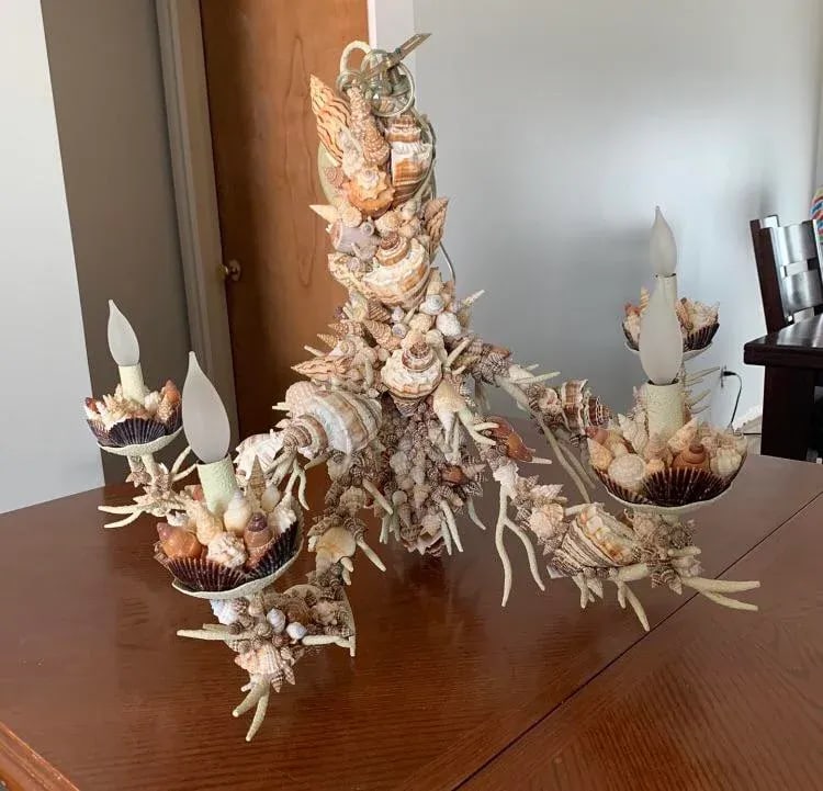 Nautical Natural Sea Shell Chandelier - 3