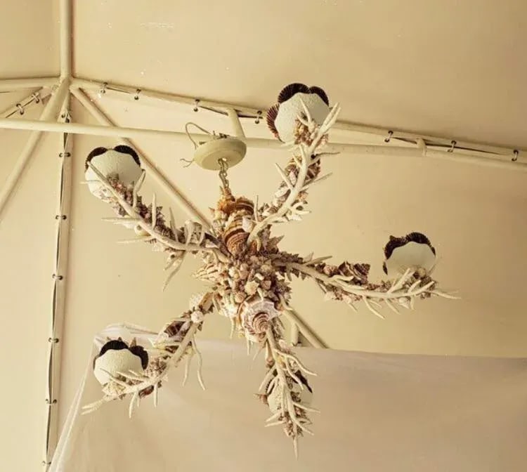 Nautical Natural Sea Shell Chandelier - 4
