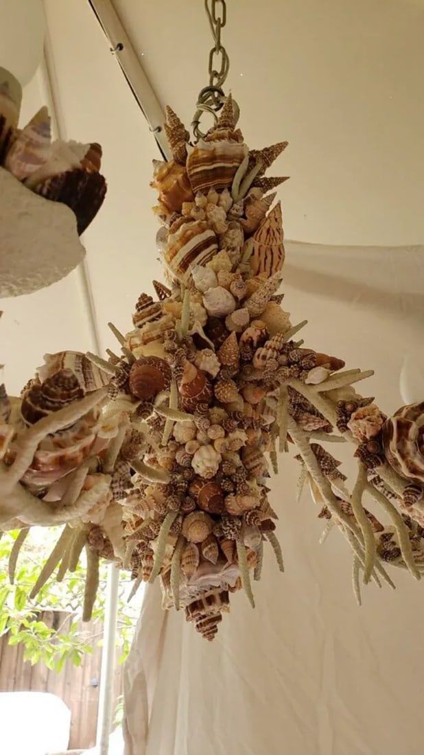Nautical Natural Sea Shell Chandelier - 5