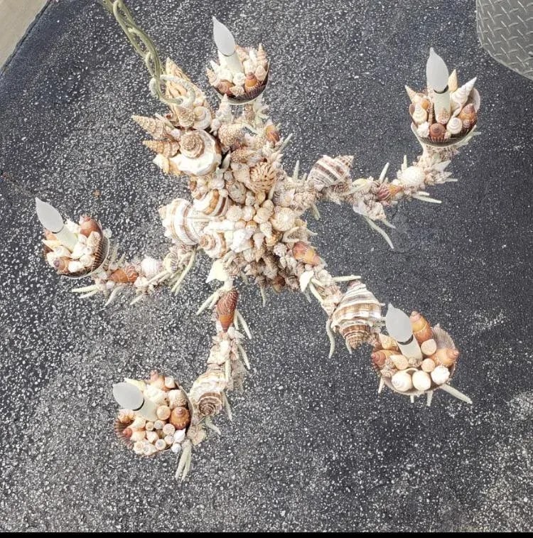 Nautical Natural Sea Shell Chandelier - 6
