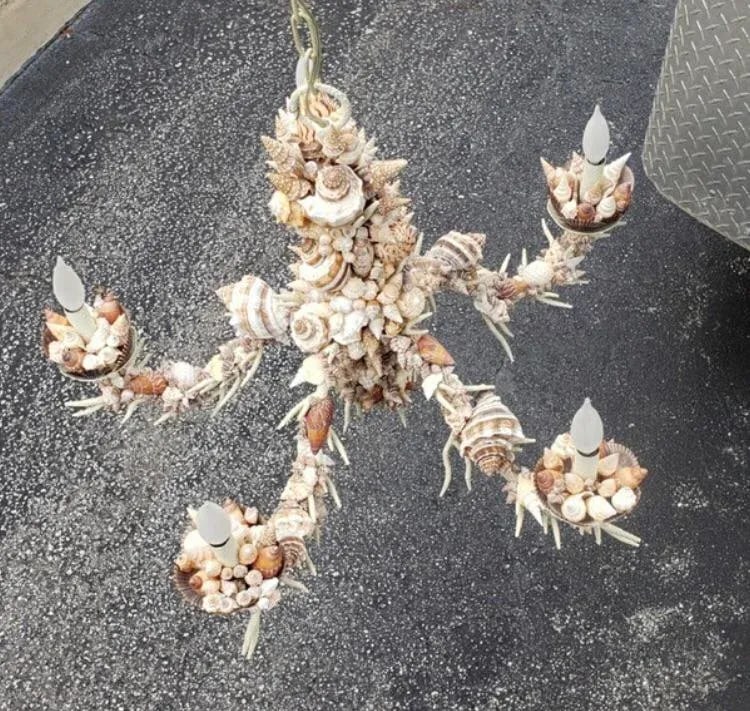 Nautical Natural Sea Shell Chandelier - 7