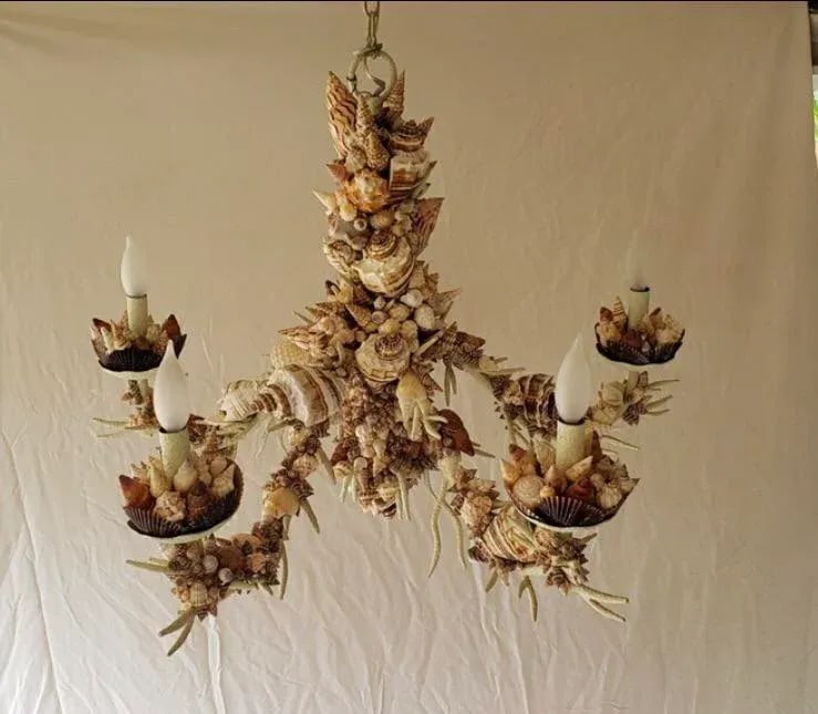 Nautical Natural Sea Shell Chandelier - 9