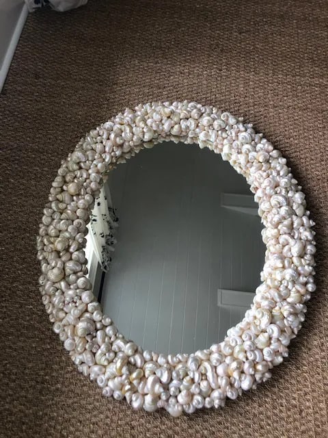 Coastal Oly Studio Oval Shell Mirror - 6