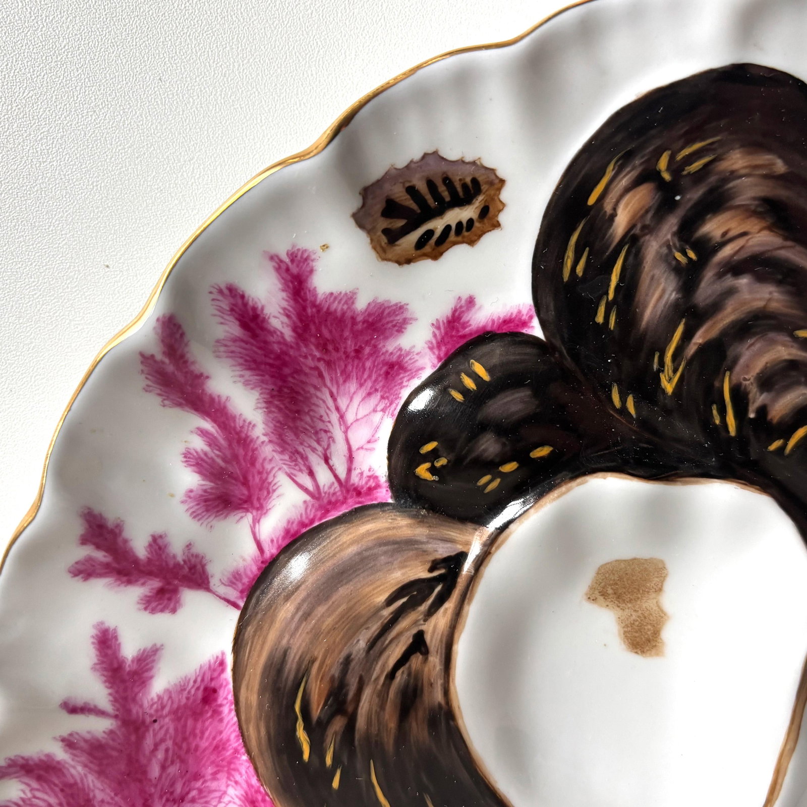 Antique Limoges Hand-Painted Oyster Plate - French Porcelain, Sea Life Motif, C. Late 19th Century - 4