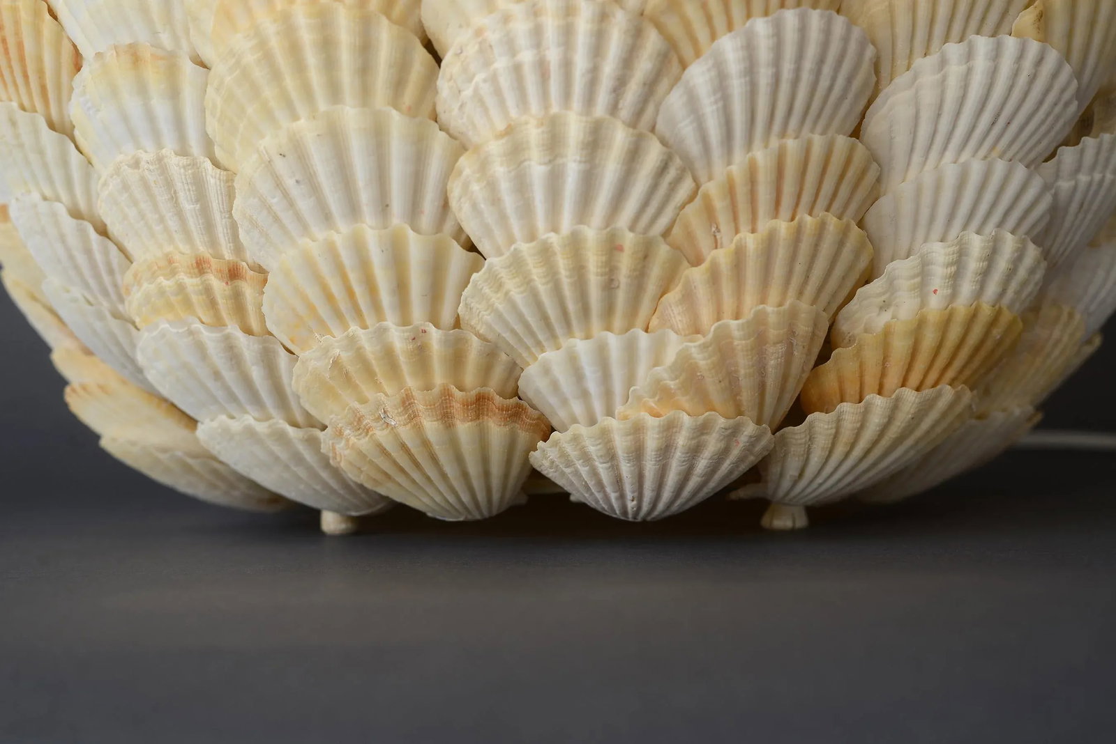 Spherical Clam Shell Floor Lamp - 6