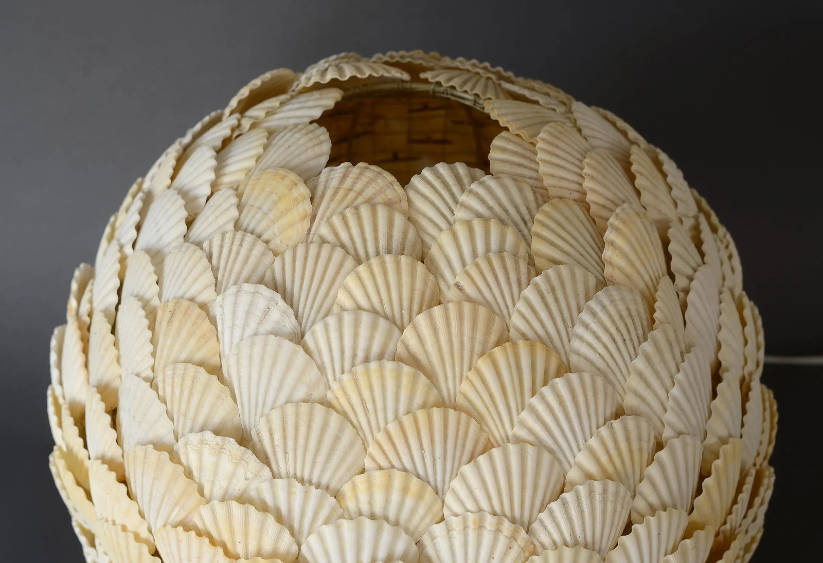 Spherical Clam Shell Floor Lamp - 7
