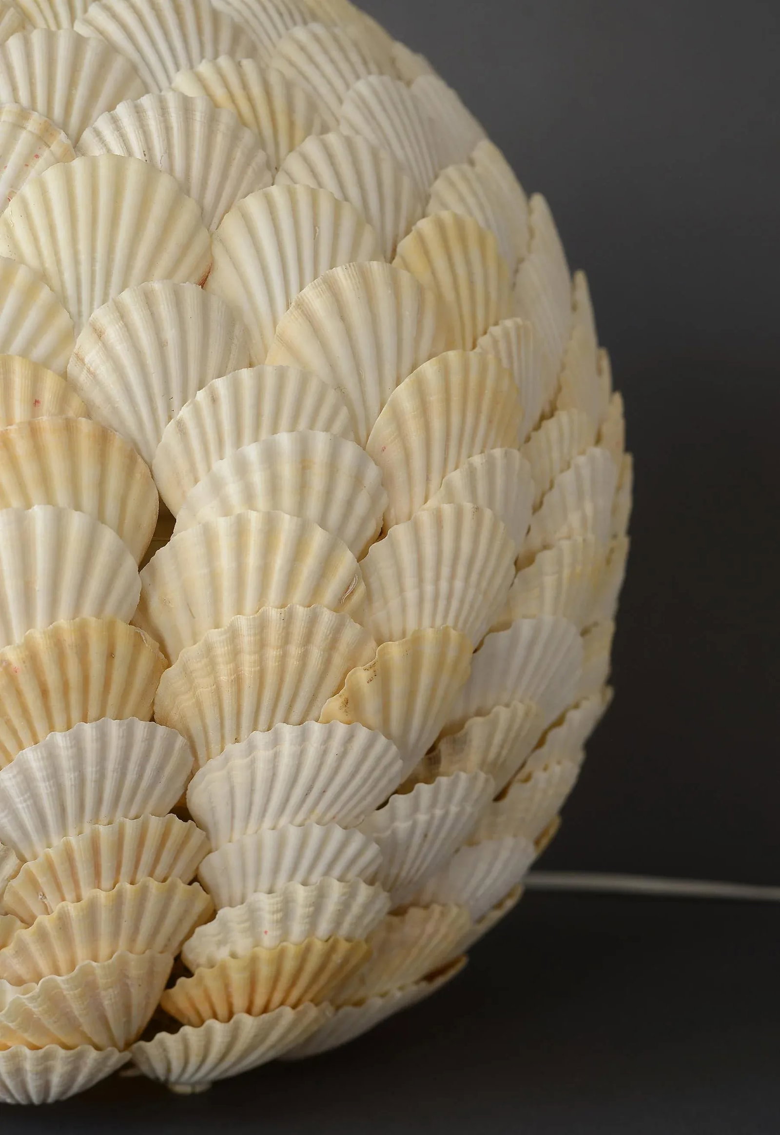 Spherical Clam Shell Floor Lamp - 8