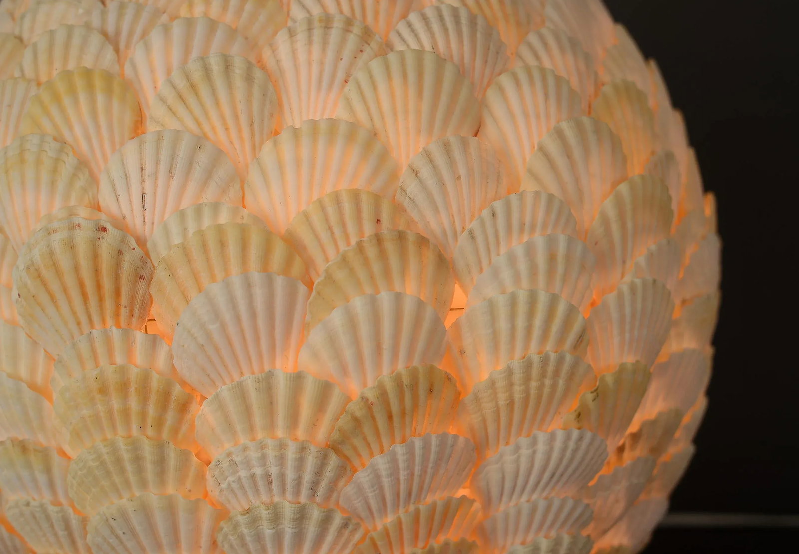 Spherical Clam Shell Floor Lamp - 9
