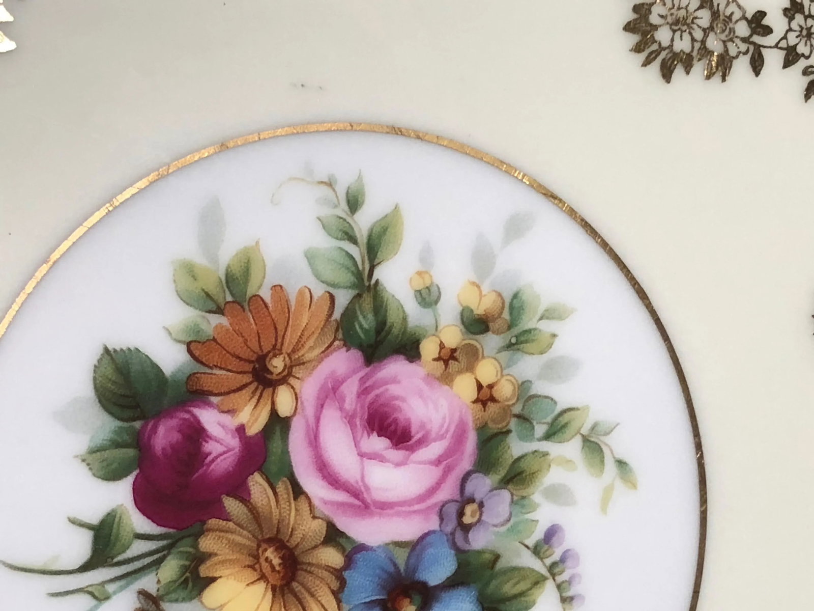 Heinrich & Co. Selb Floral Gold Encrusted Service Plates - Set of 11 - 5