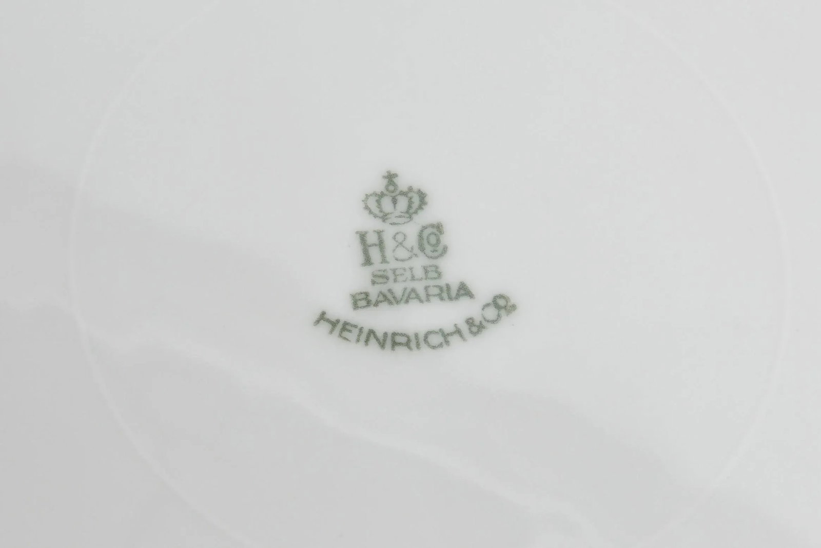 Heinrich & Co. Selb Floral Gold Encrusted Service Plates - Set of 11 - 9